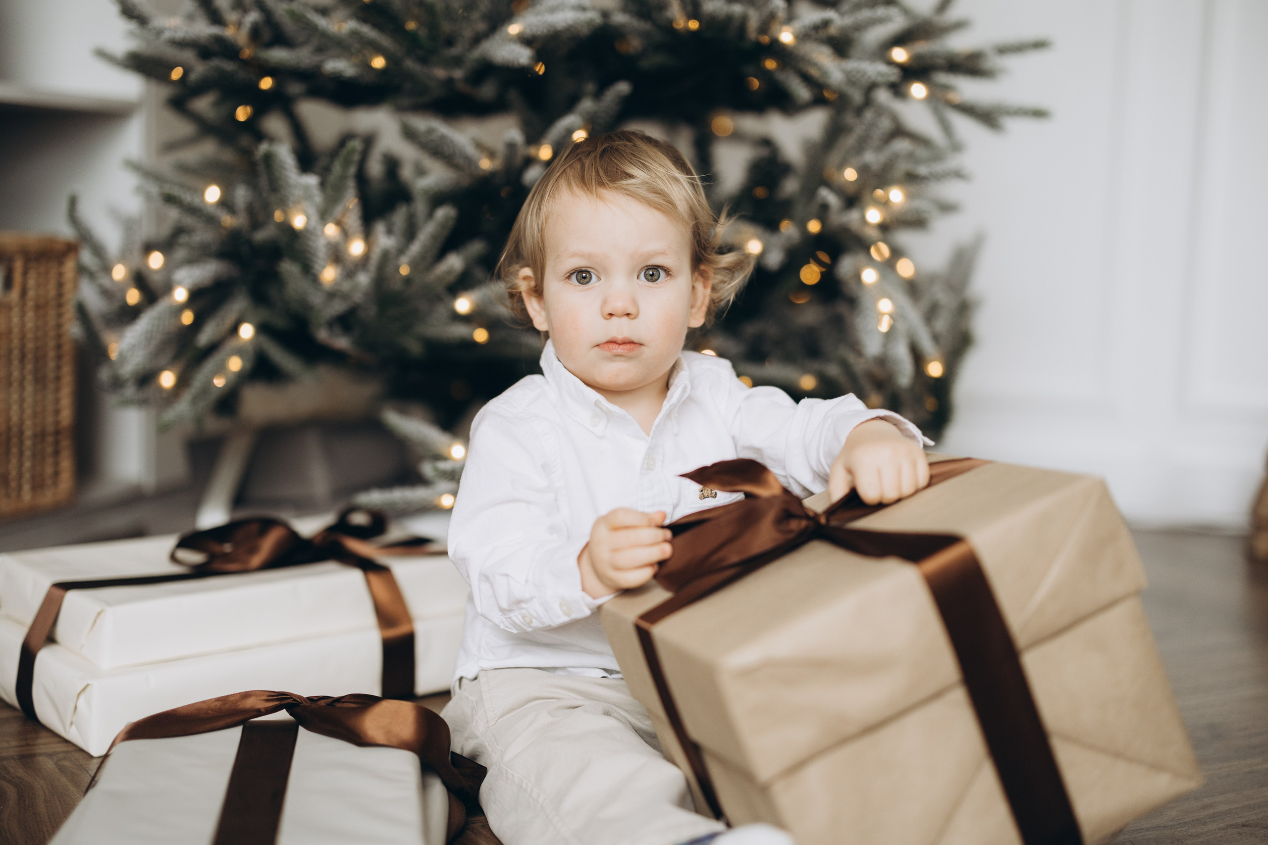 Michala&Bryan. Wedding Photographer Toronto