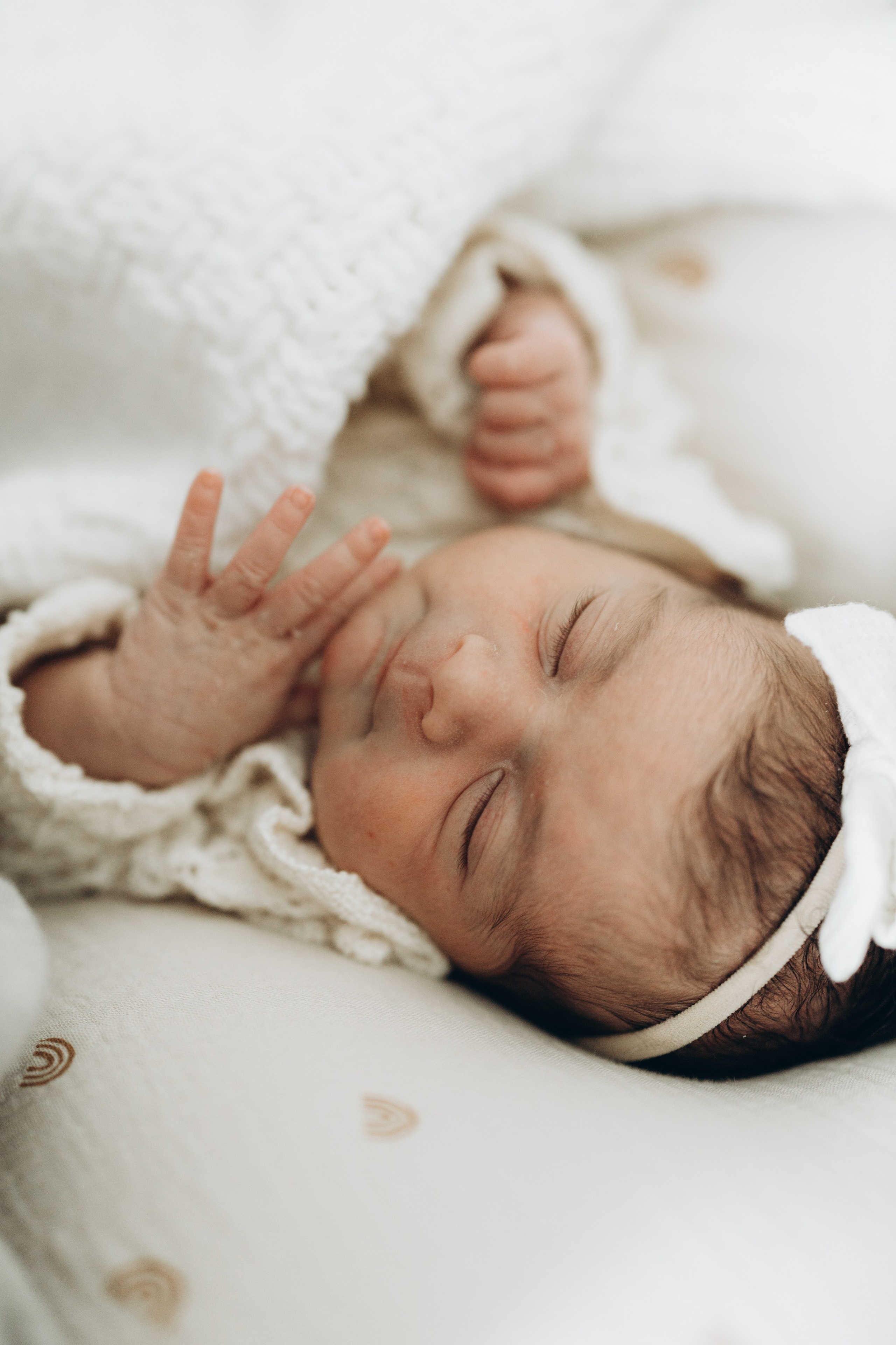 Newborn/family photo session. Wedding Photographer Toronto