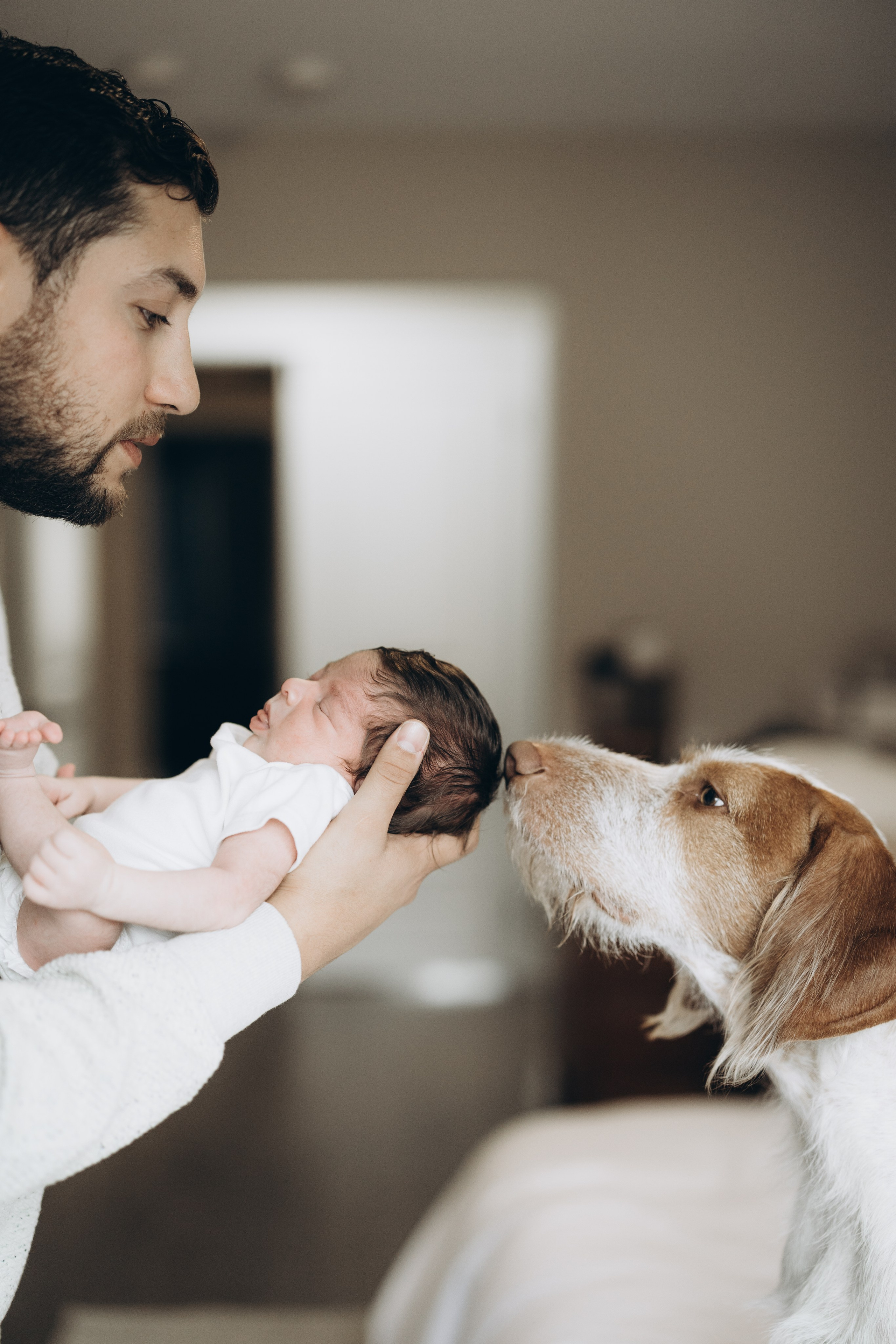 Baby Luca. Wedding Photographer Toronto