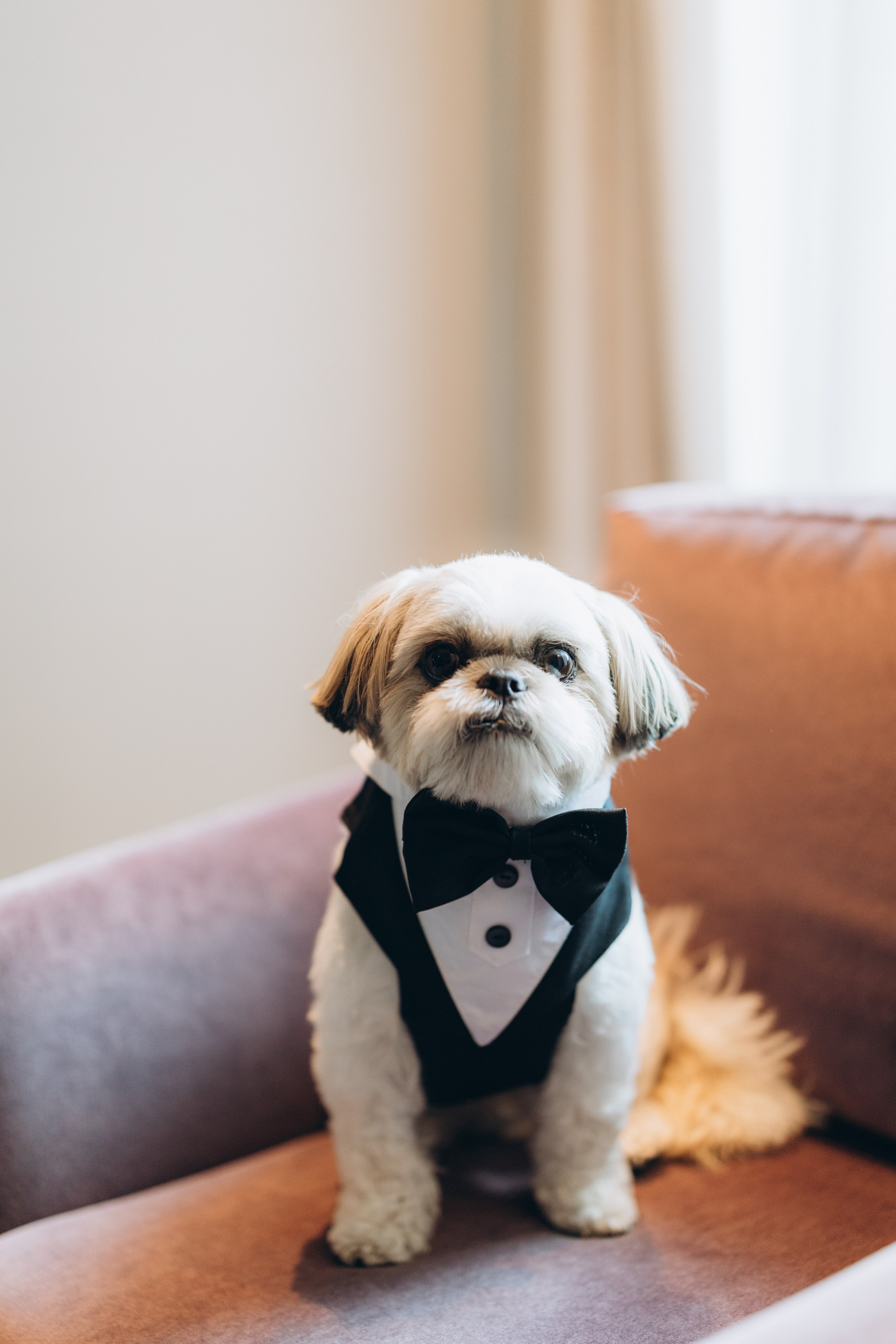 Stephanie&David. Wedding Photographer Toronto