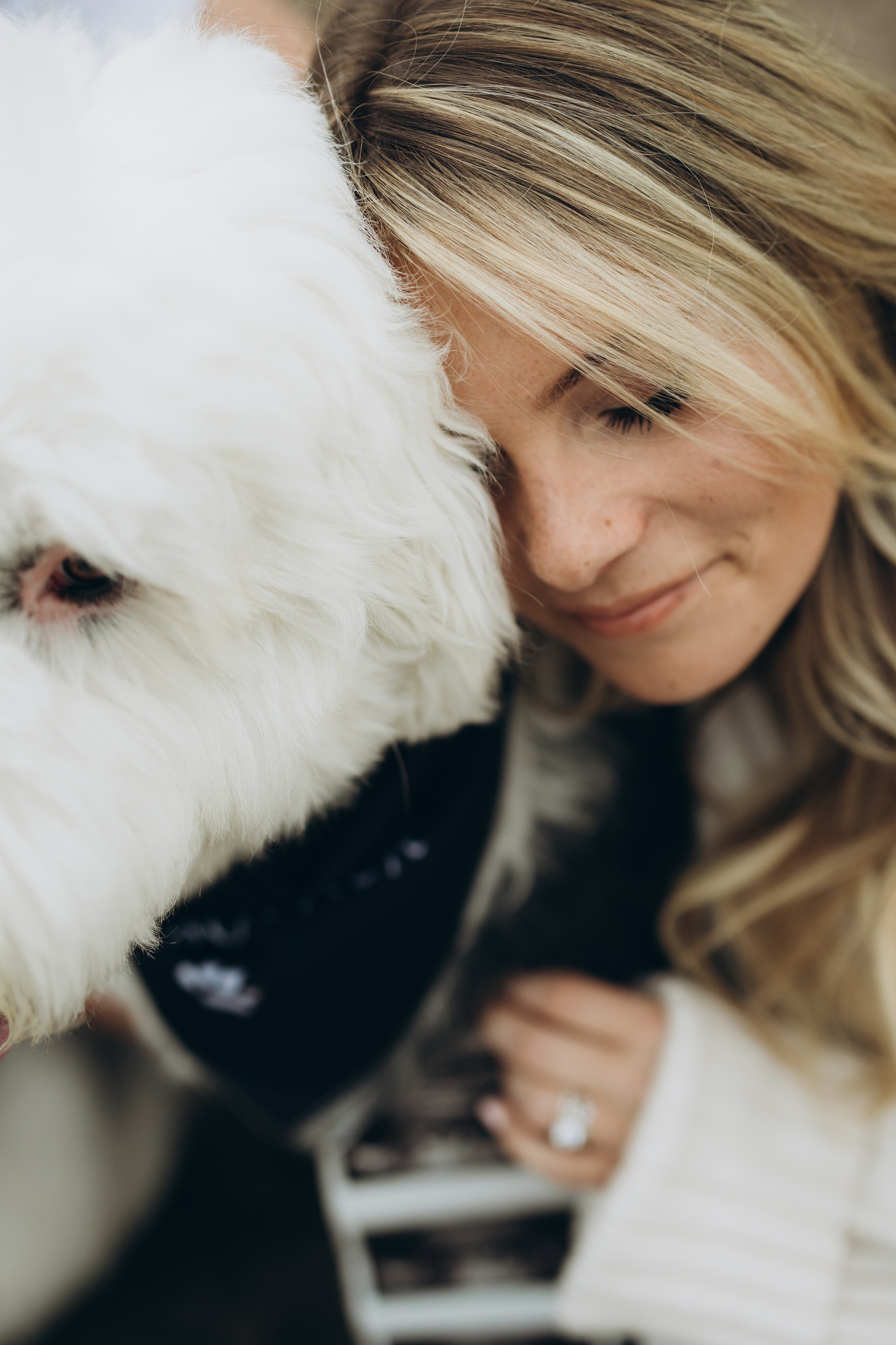Gender party. Wedding Photographer Toronto