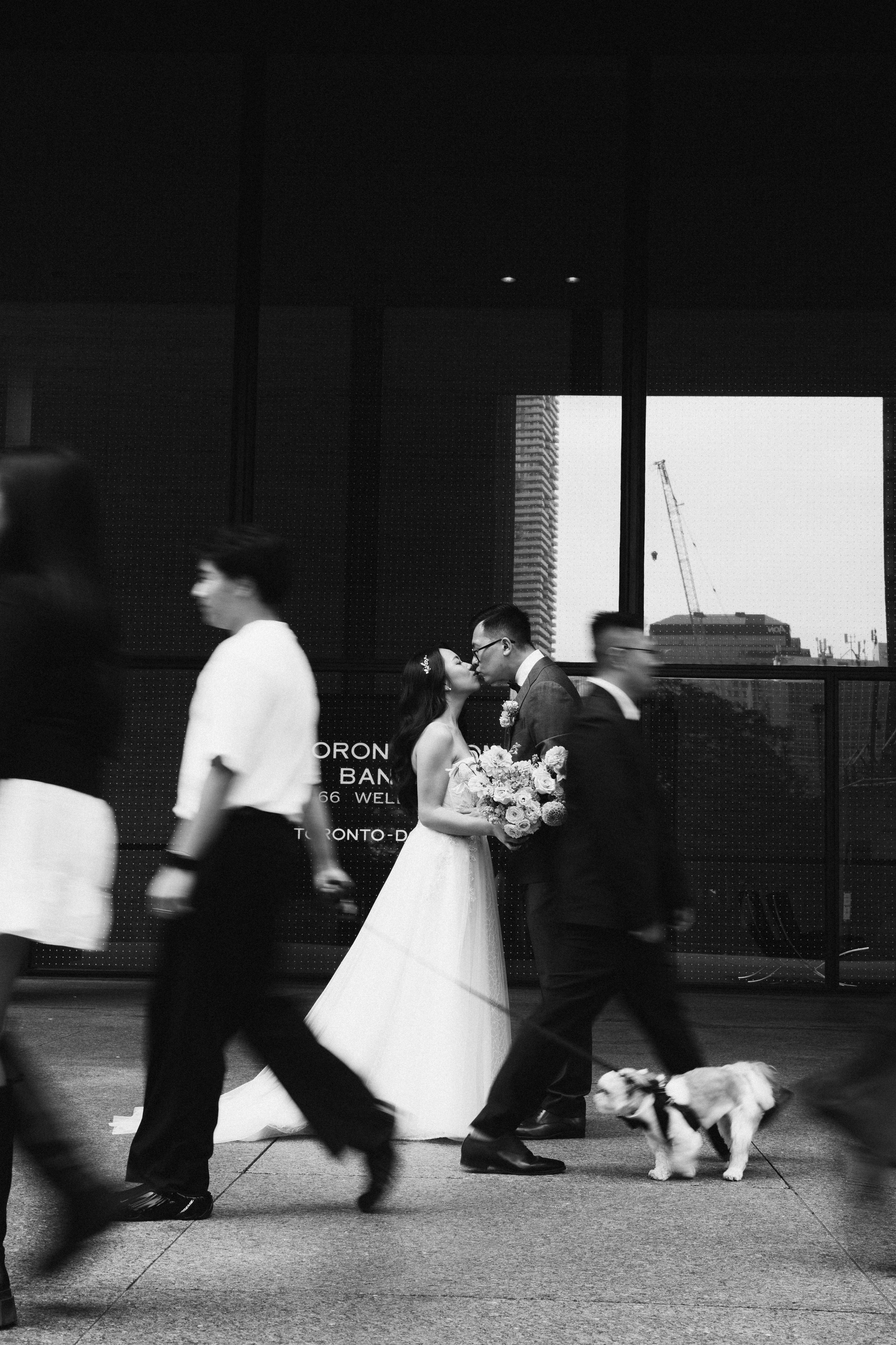 Stephanie&David. Wedding Photographer Toronto