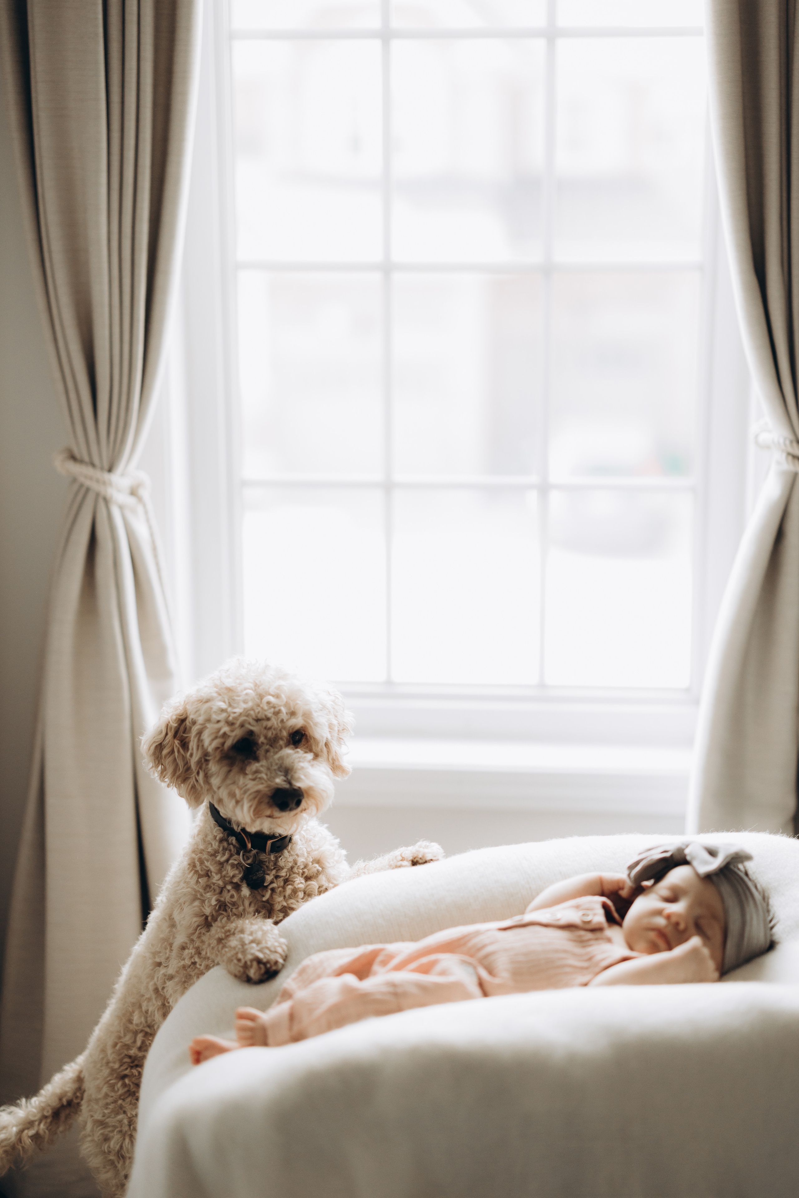 Avery. Wedding Photographer Toronto