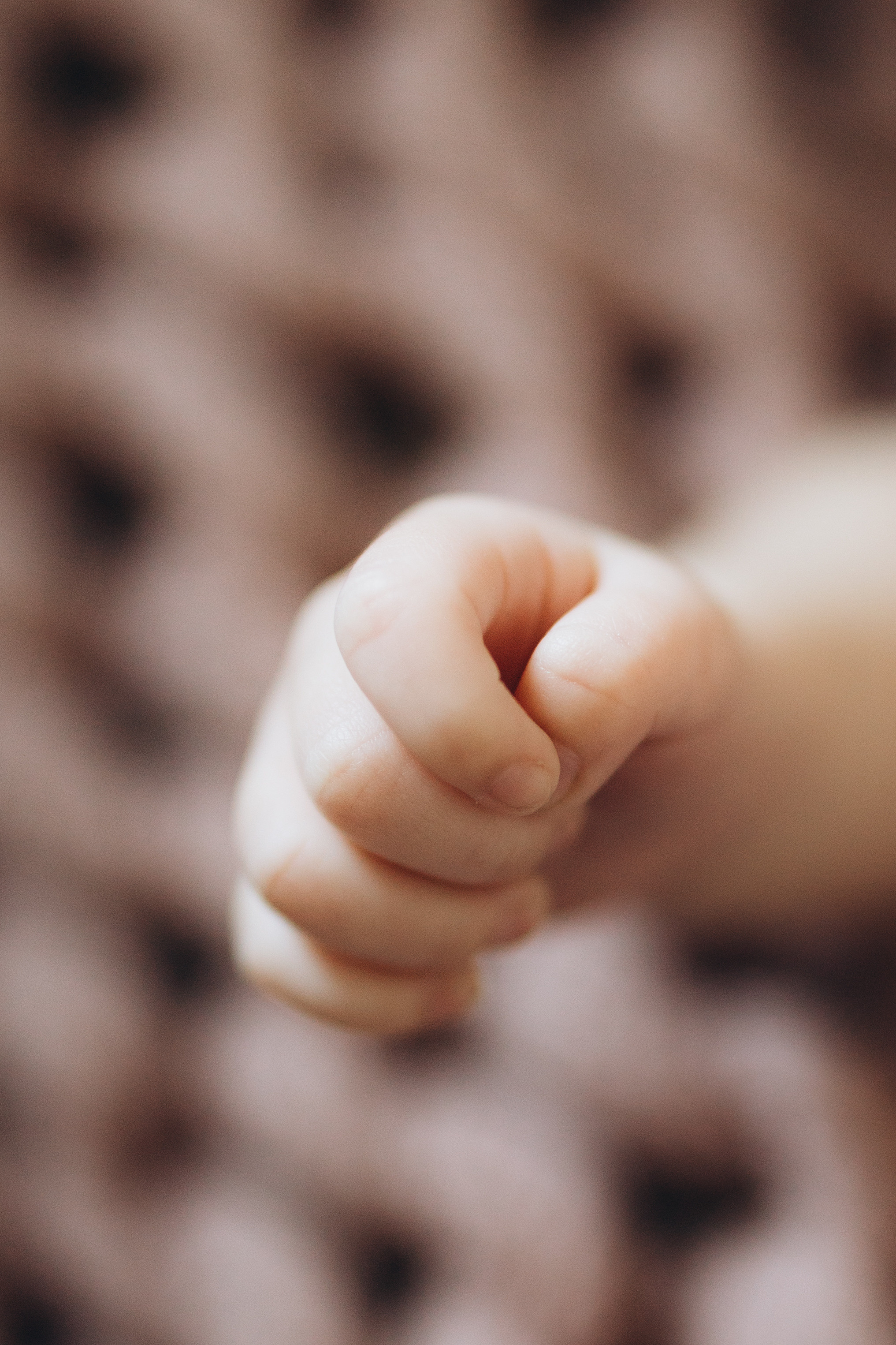 Avery. Wedding Photographer Toronto