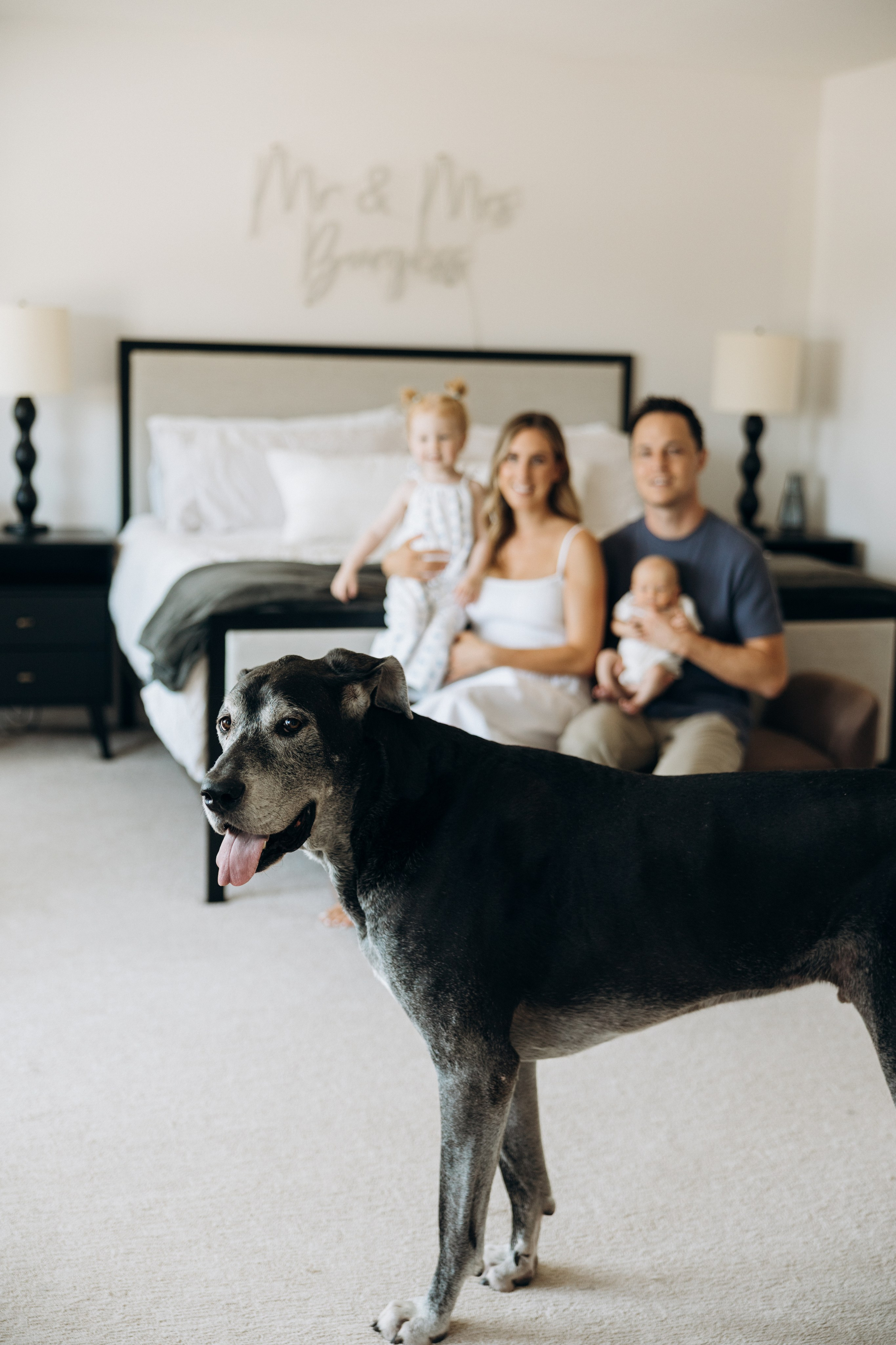 Baby Myles. Wedding Photographer Toronto