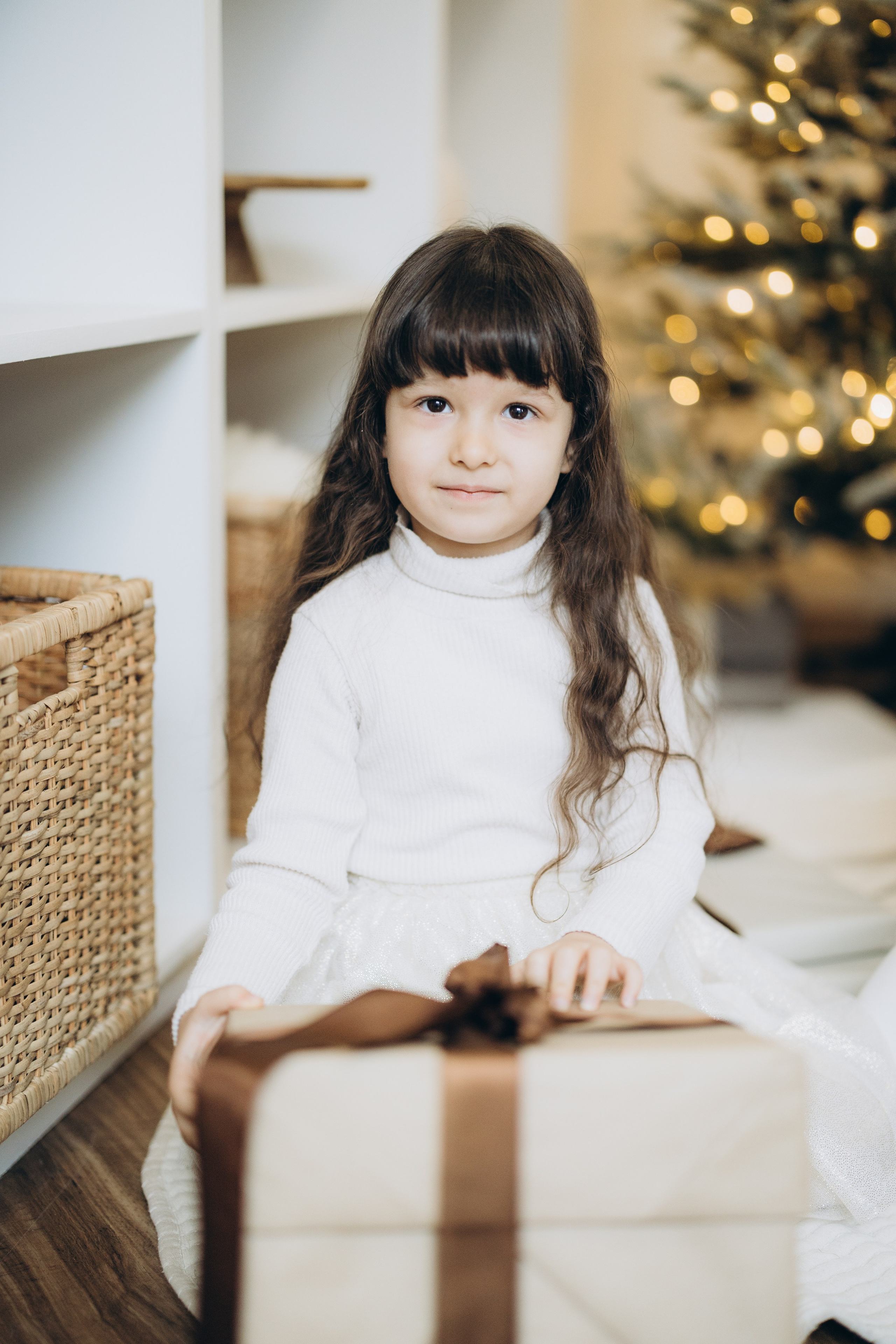 Christmas 2023. Wedding Photographer Toronto