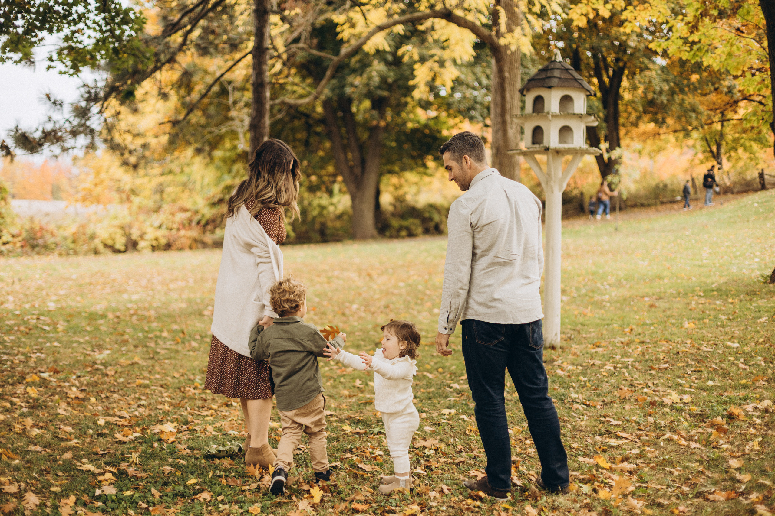 Fall family time. Wedding Photographer Toronto