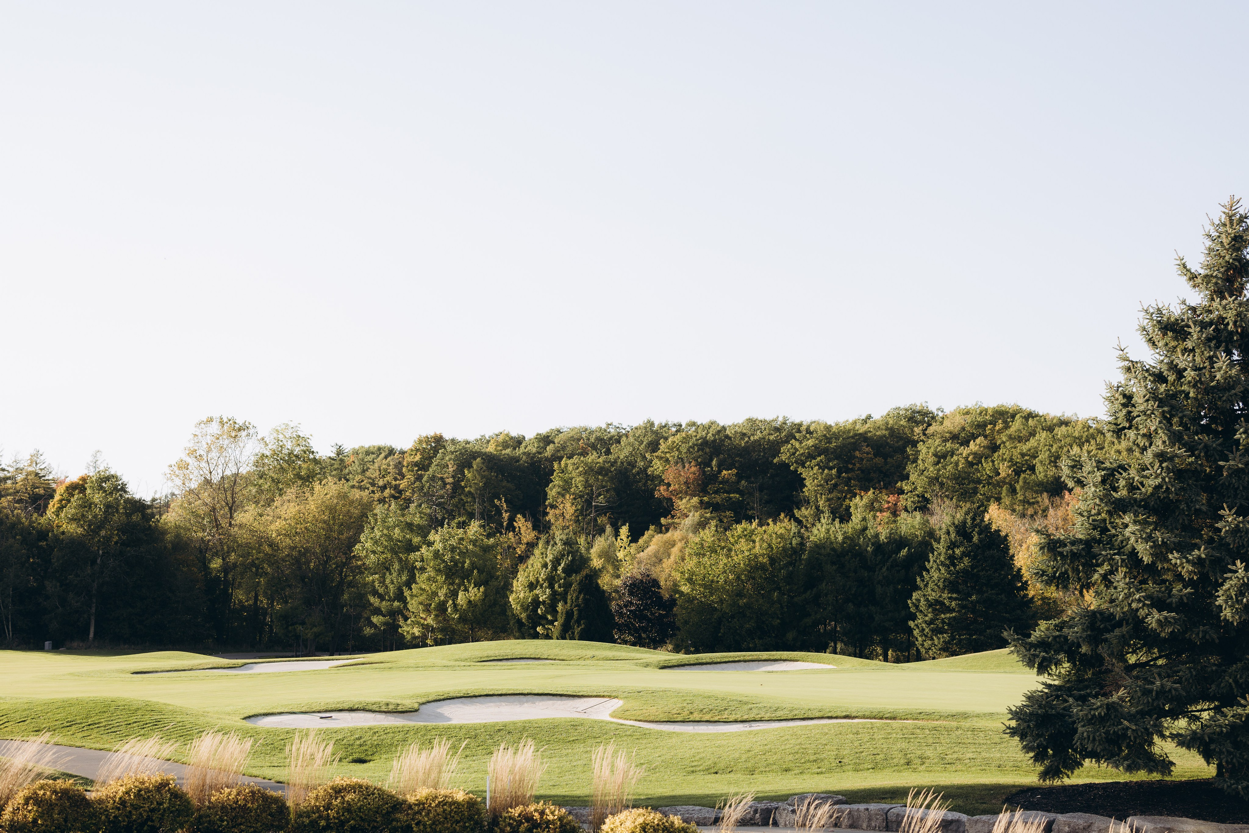 Anna&Kiro. Wedding Photographer Toronto