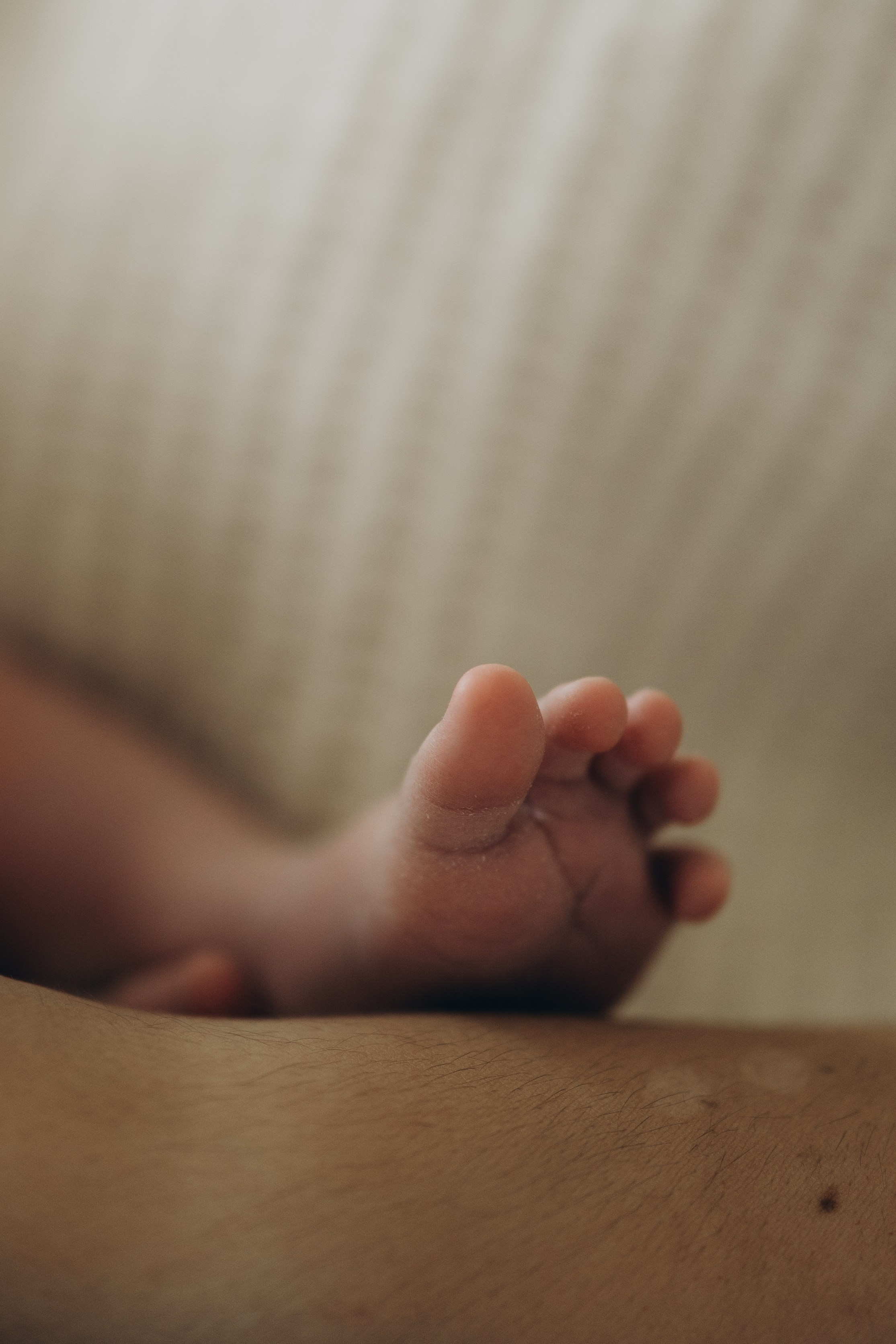 Baby Luca. Wedding Photographer Toronto