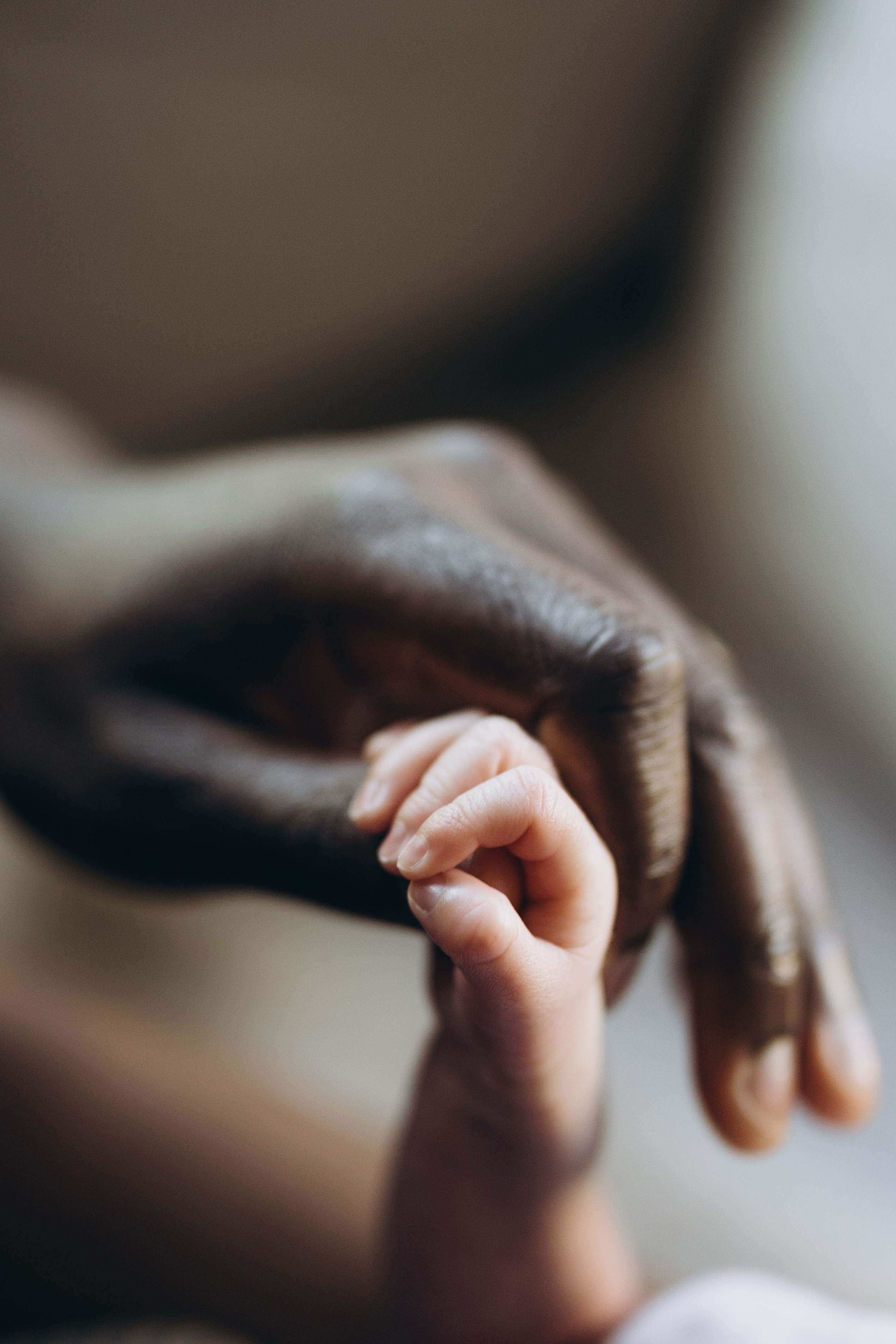 Baby N. Wedding Photographer Toronto