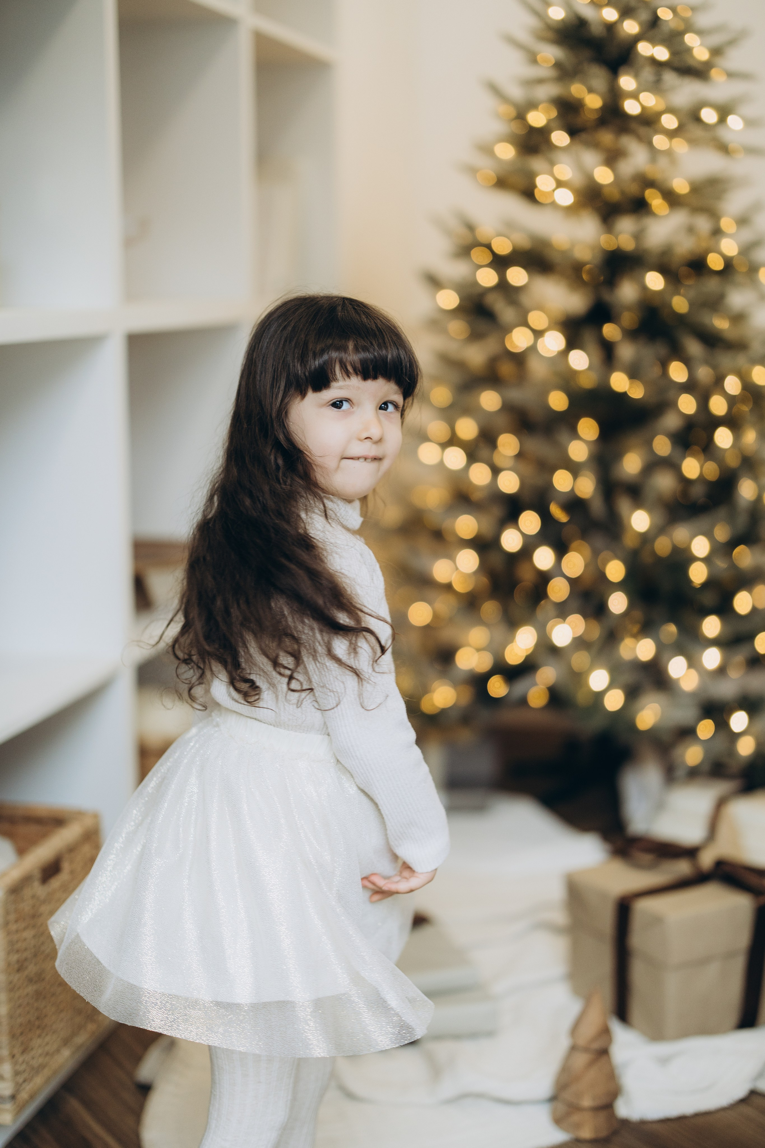 Christmas 2023. Wedding Photographer Toronto