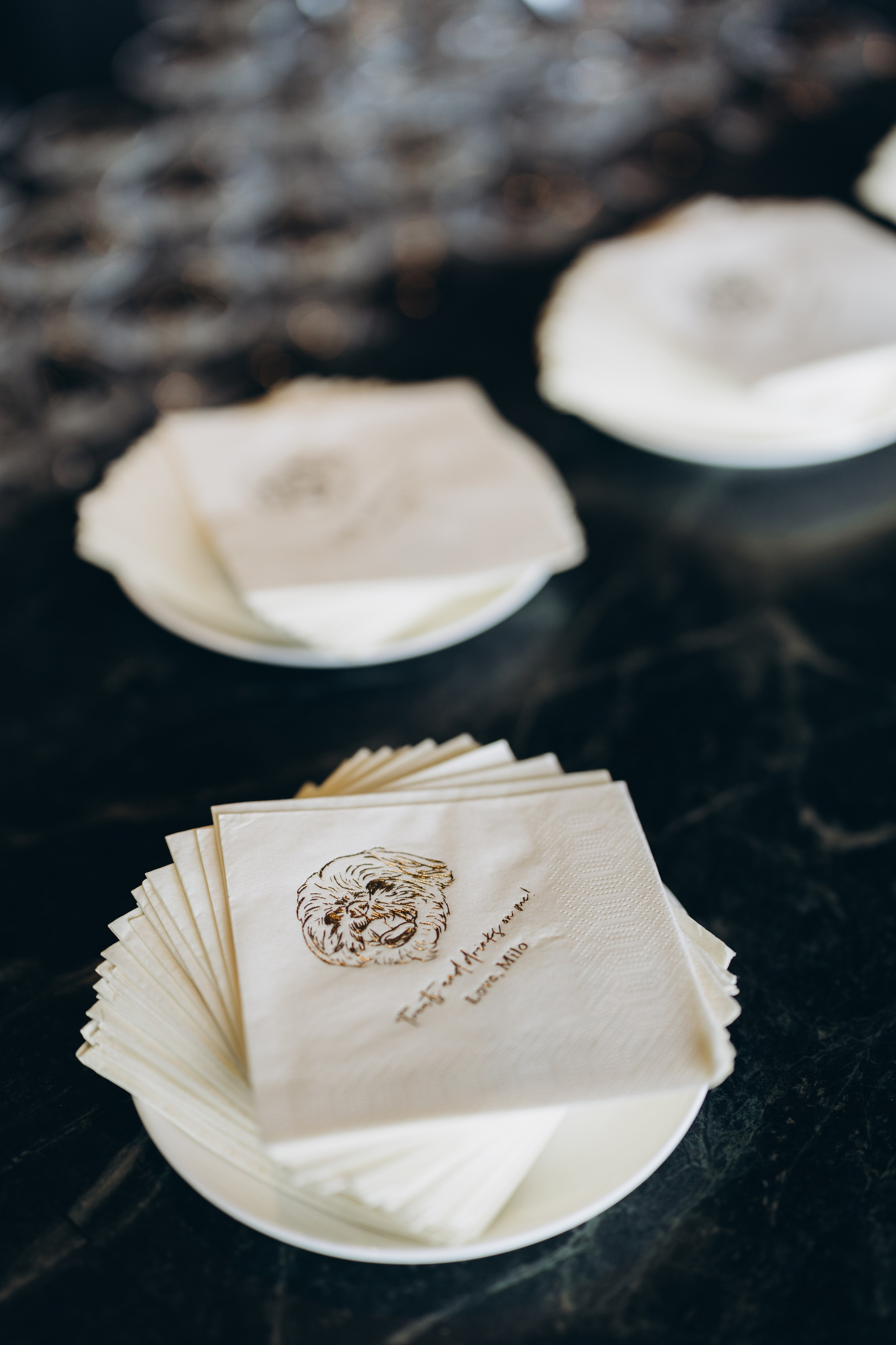 Stephanie&David. Wedding Photographer Toronto