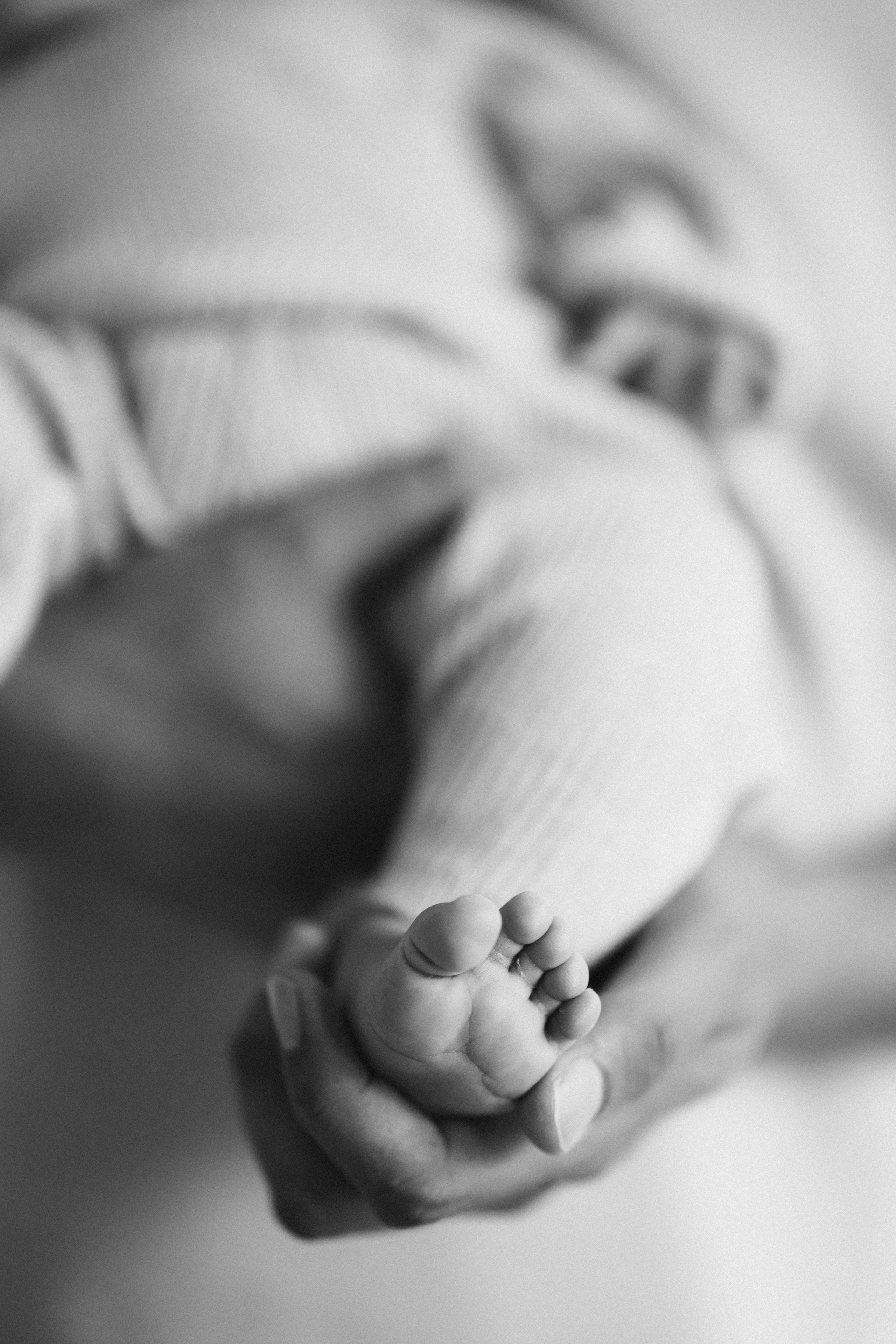 3 weeks old. Wedding Photographer Toronto