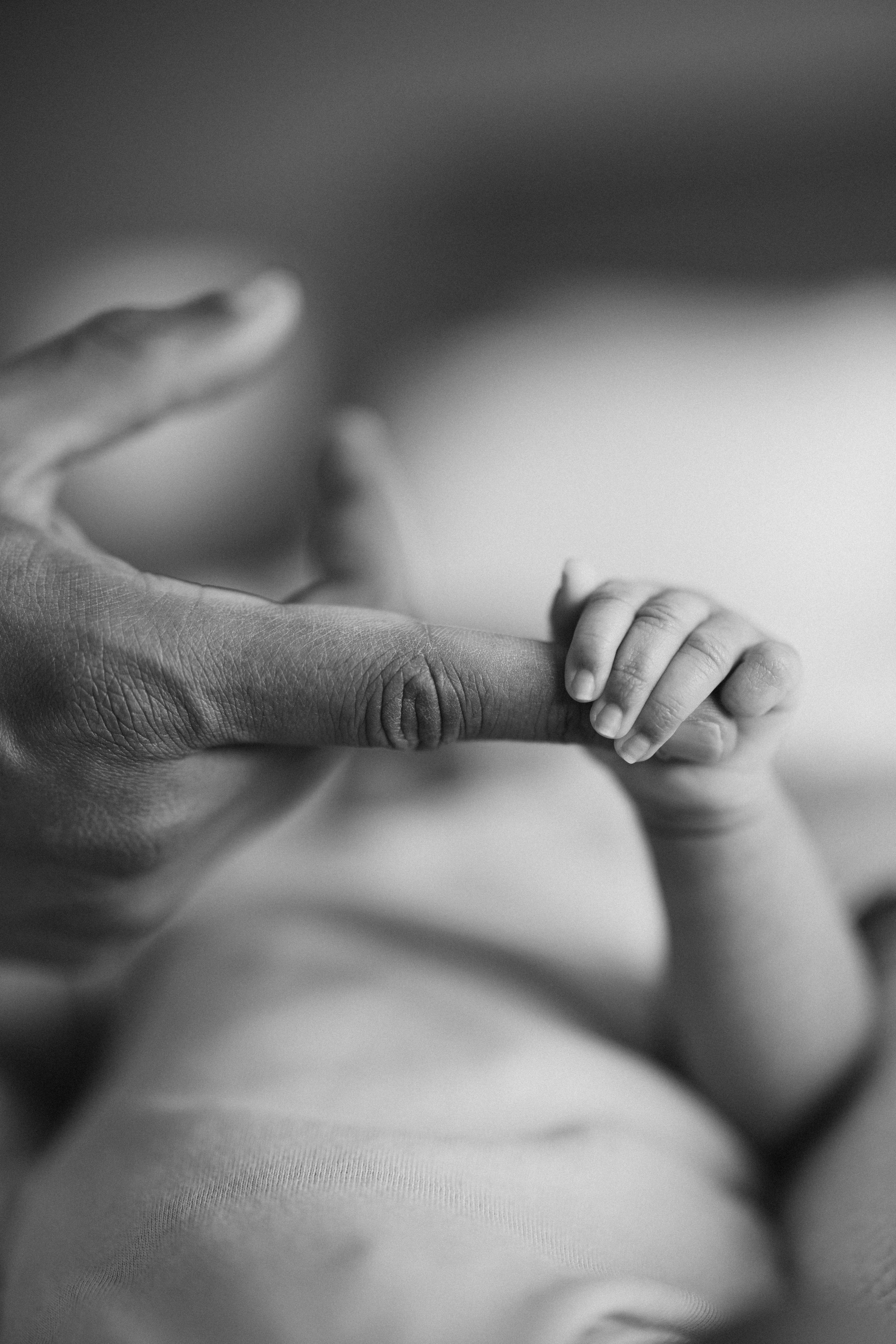 Preset. Wedding Photographer Toronto