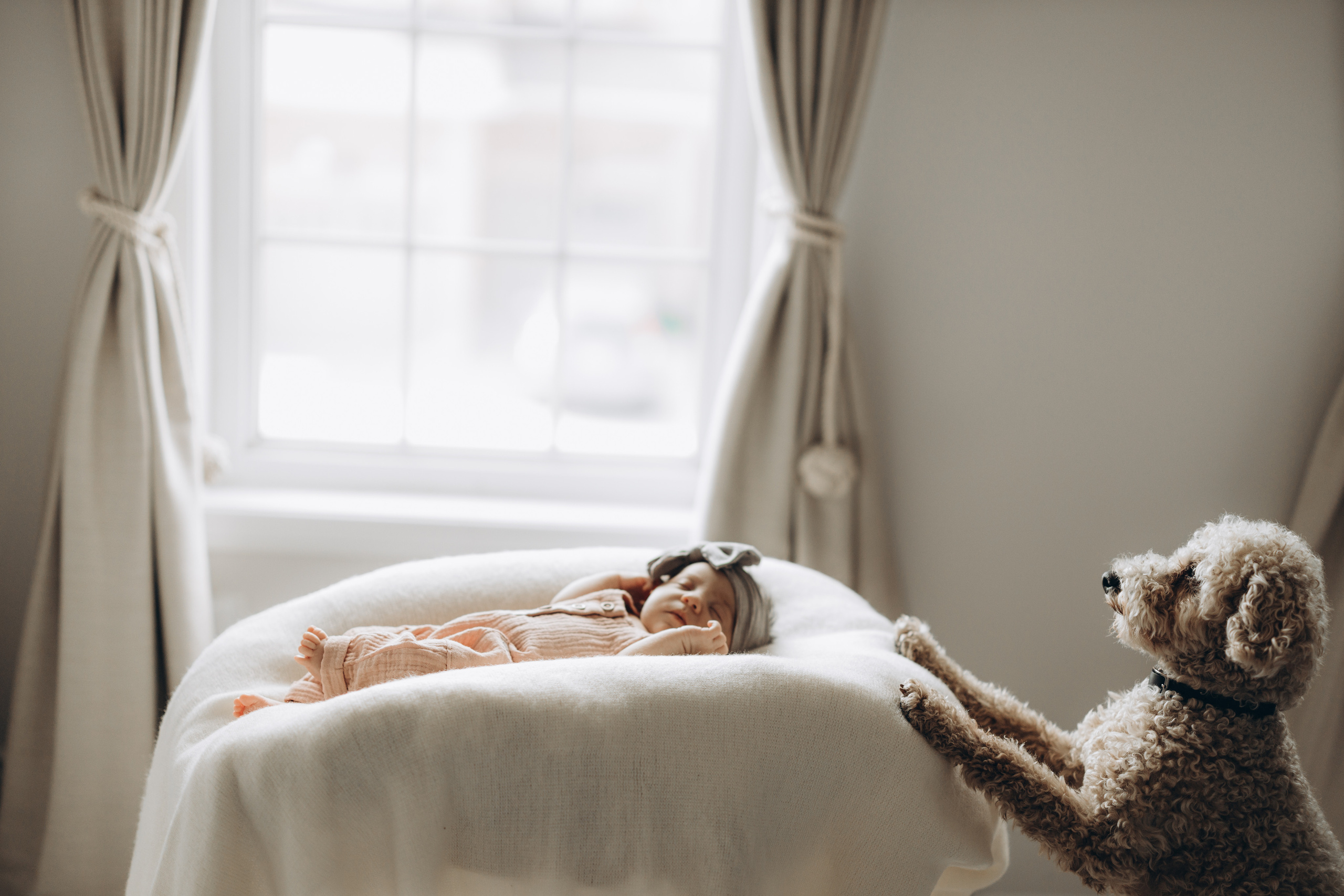 Avery. Wedding Photographer Toronto