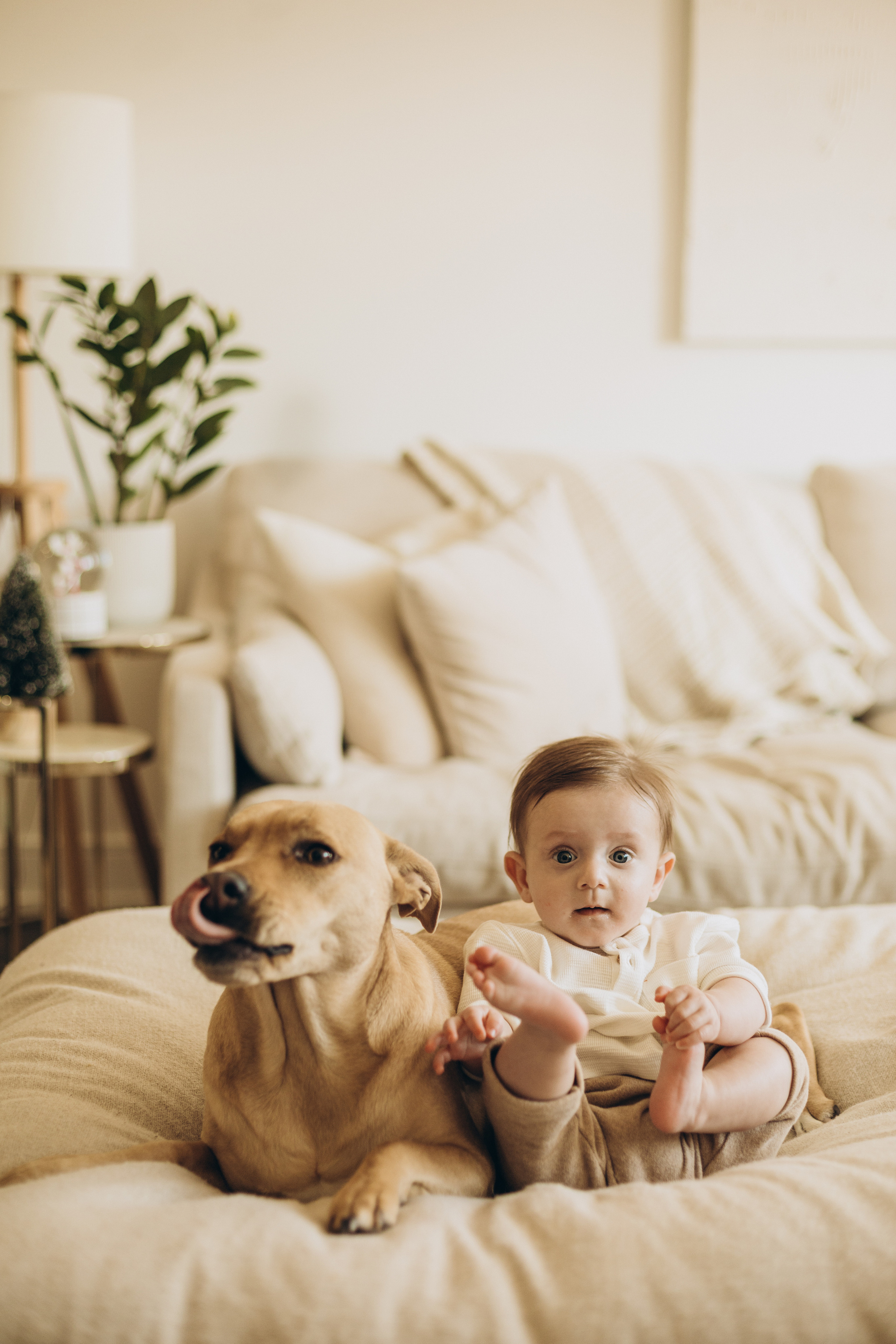 First Christmas. Wedding Photographer Toronto