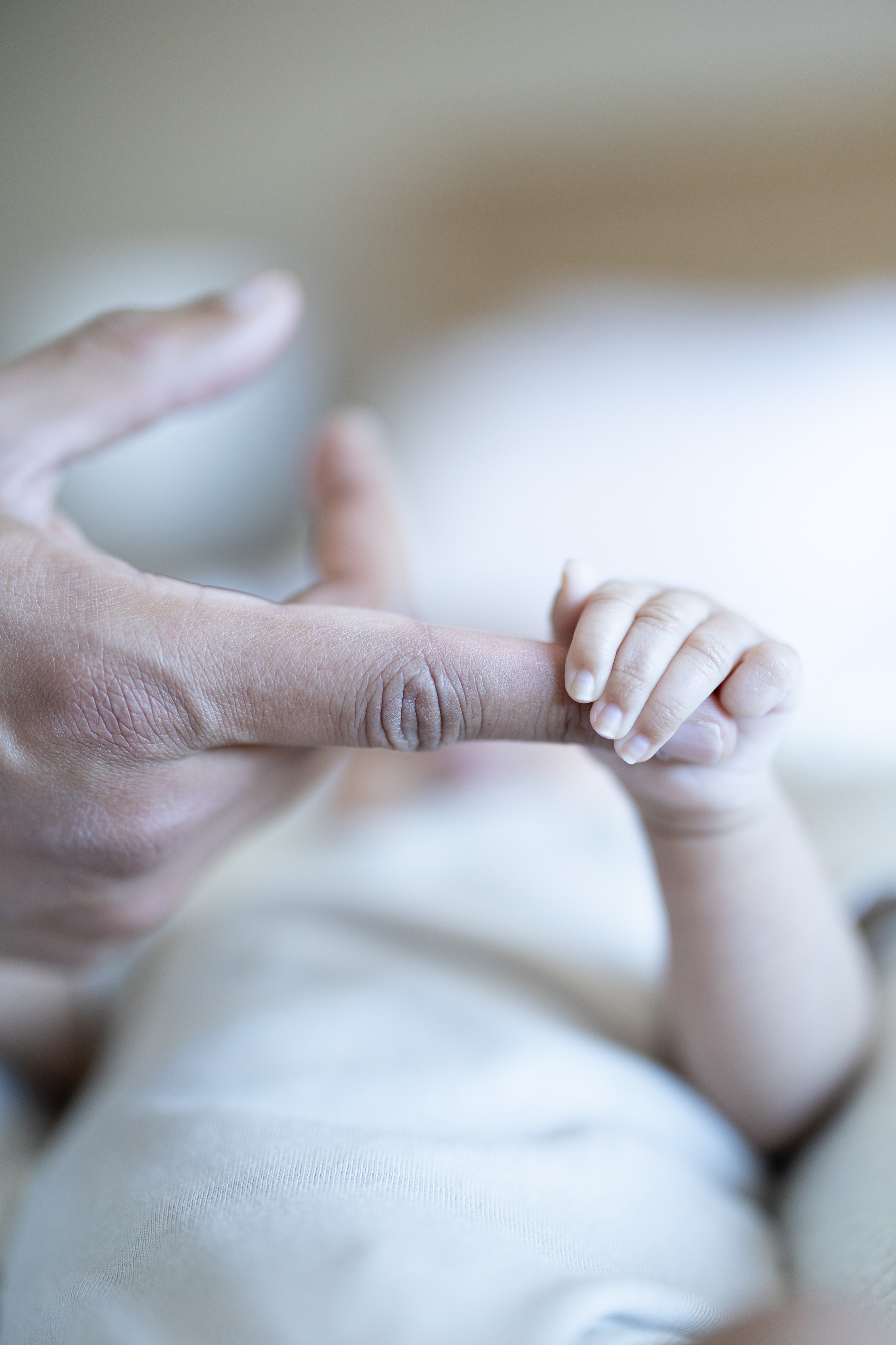 Preset. Wedding Photographer Toronto