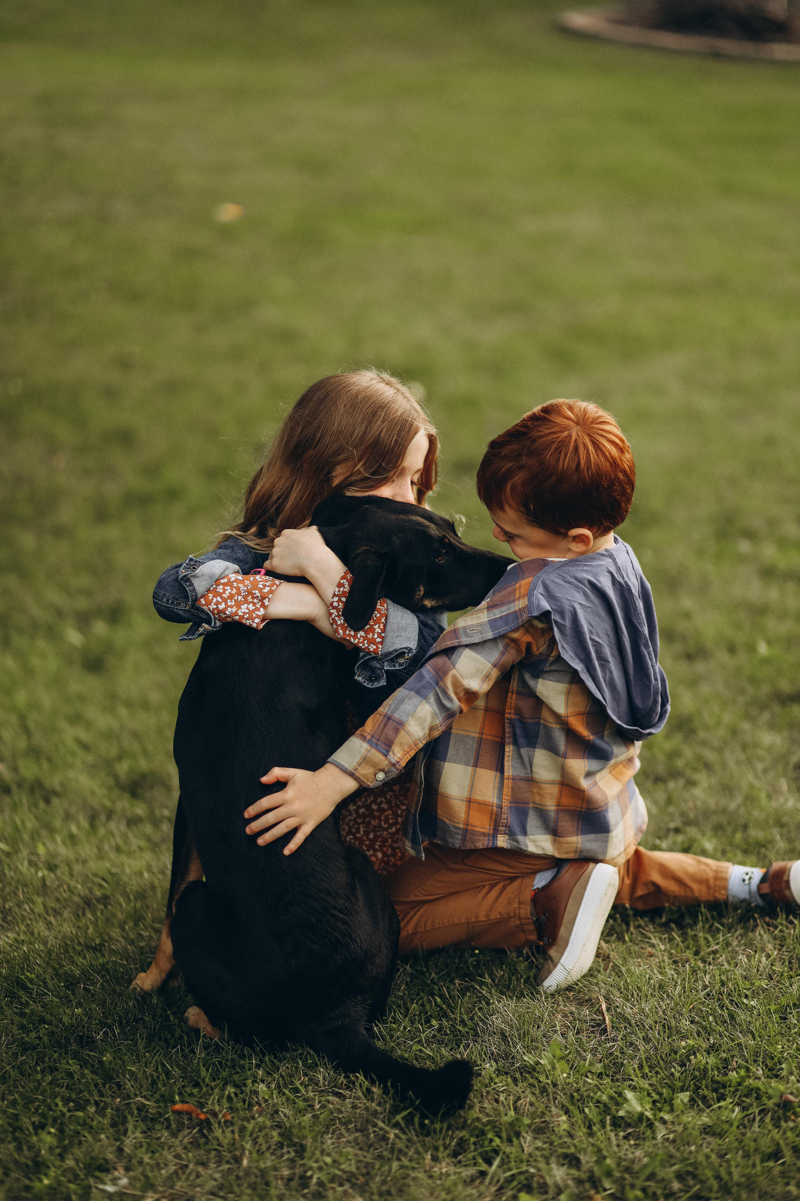 Sullivan family. Wedding Photographer Toronto