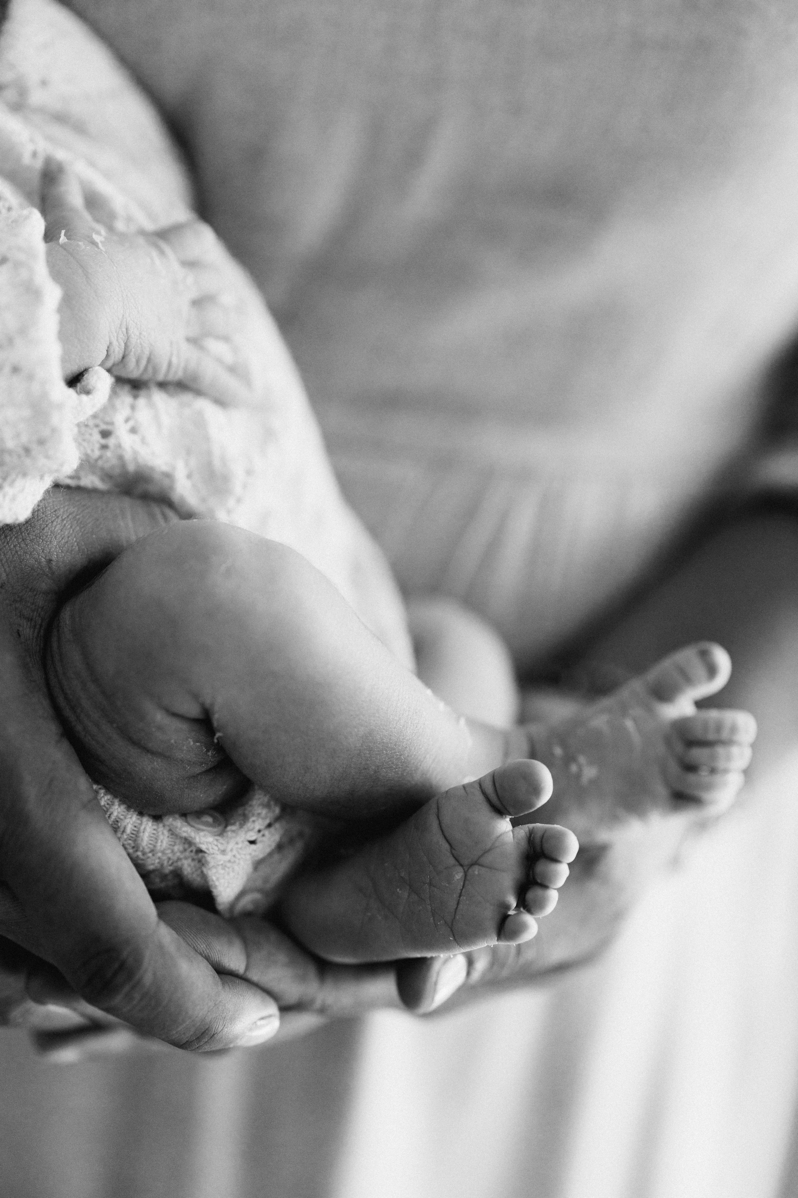 Newborn/family photo session. Wedding Photographer Toronto