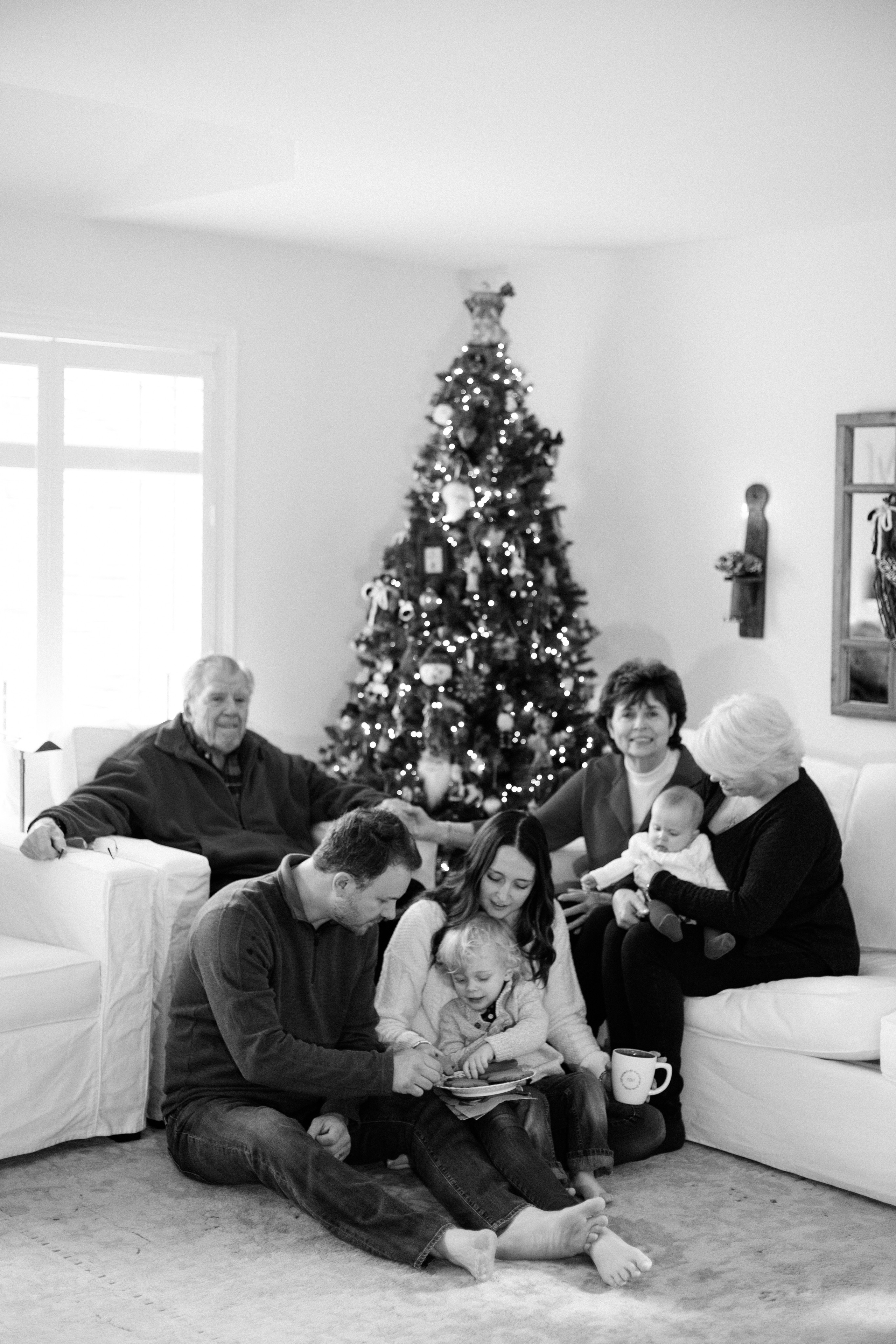 Merry family. Wedding Photographer Toronto