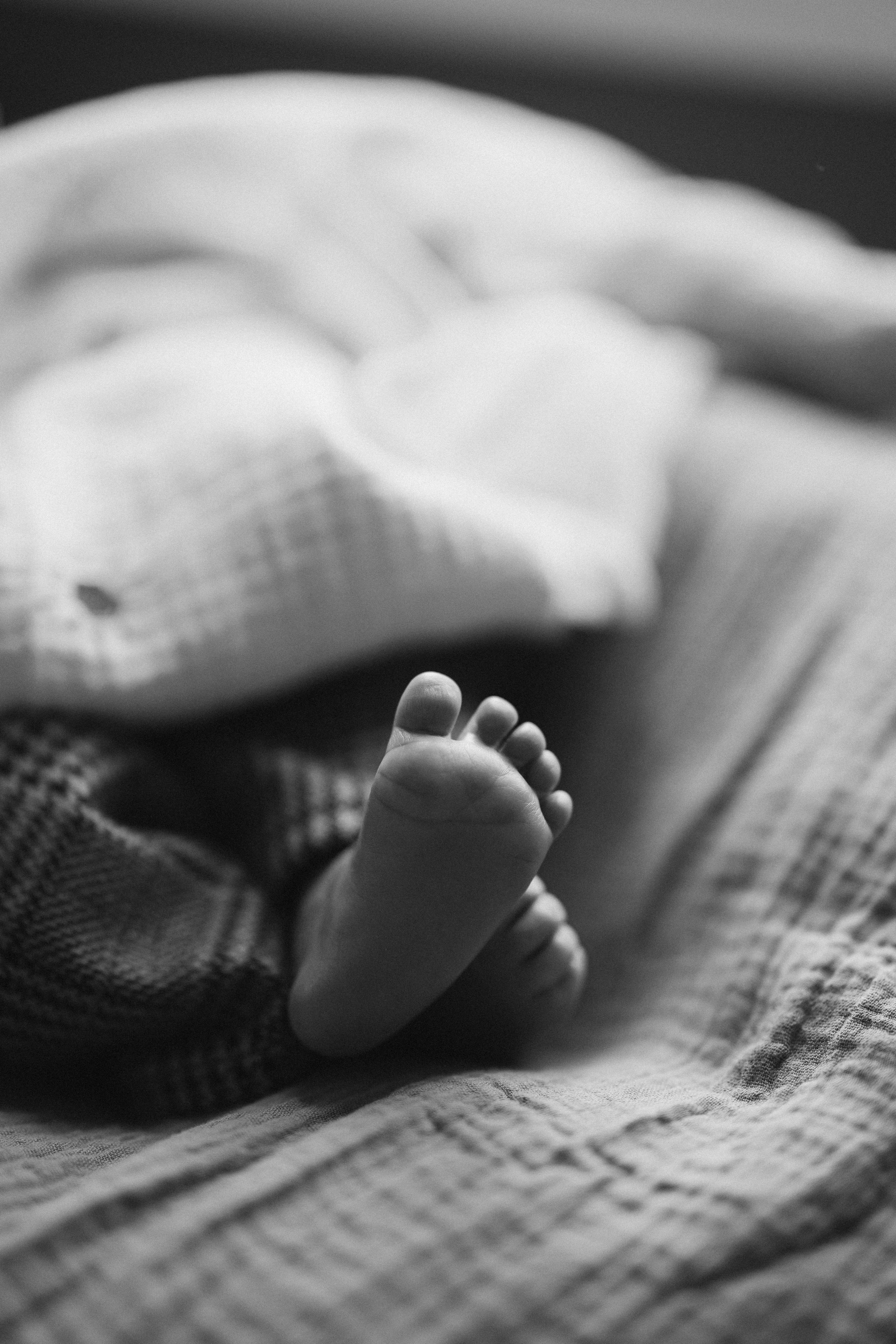 Baby N. Wedding Photographer Toronto