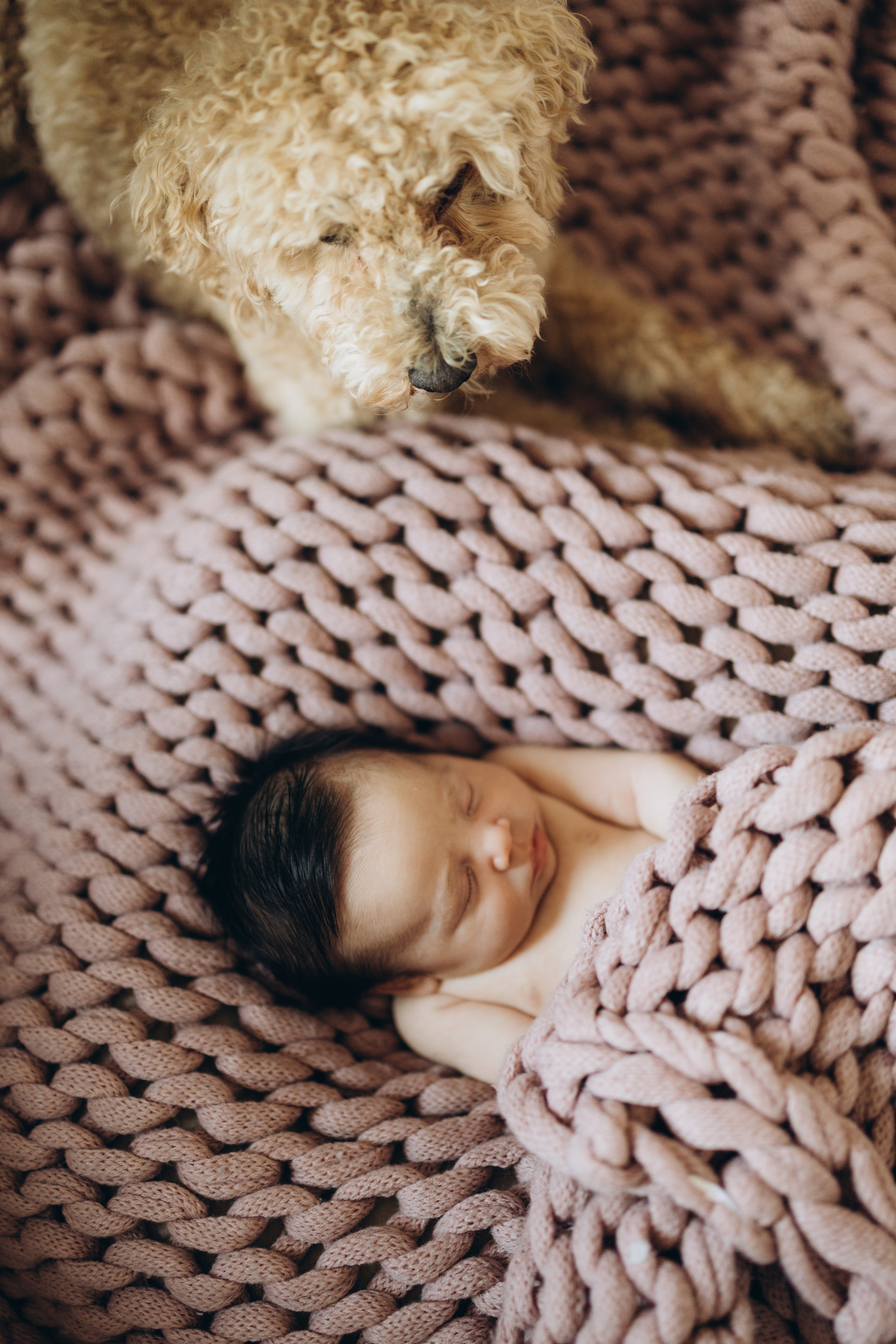 Avery. Wedding Photographer Toronto