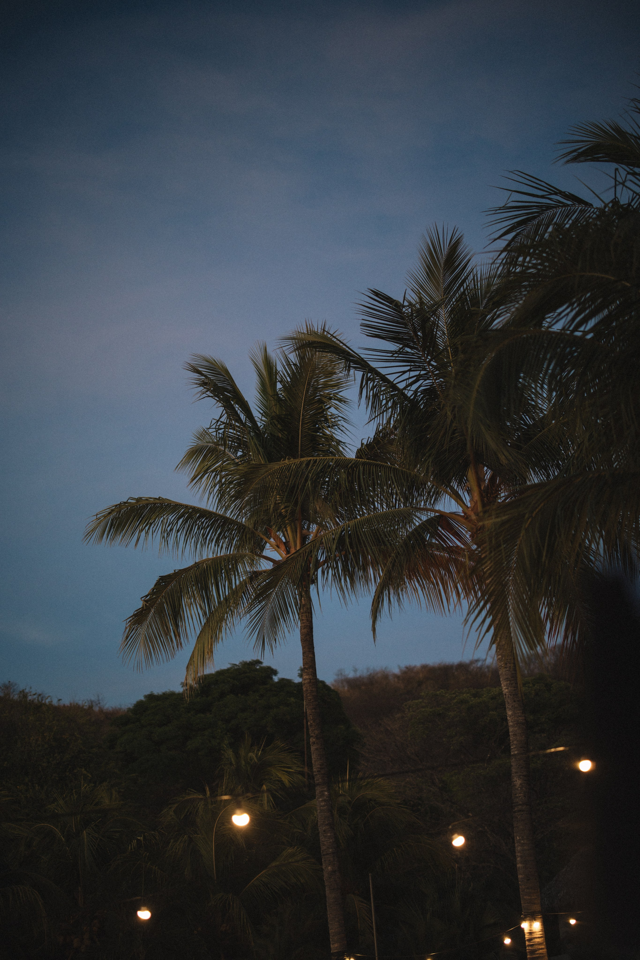 Rehearsal dinner. Wedding Photographer Toronto