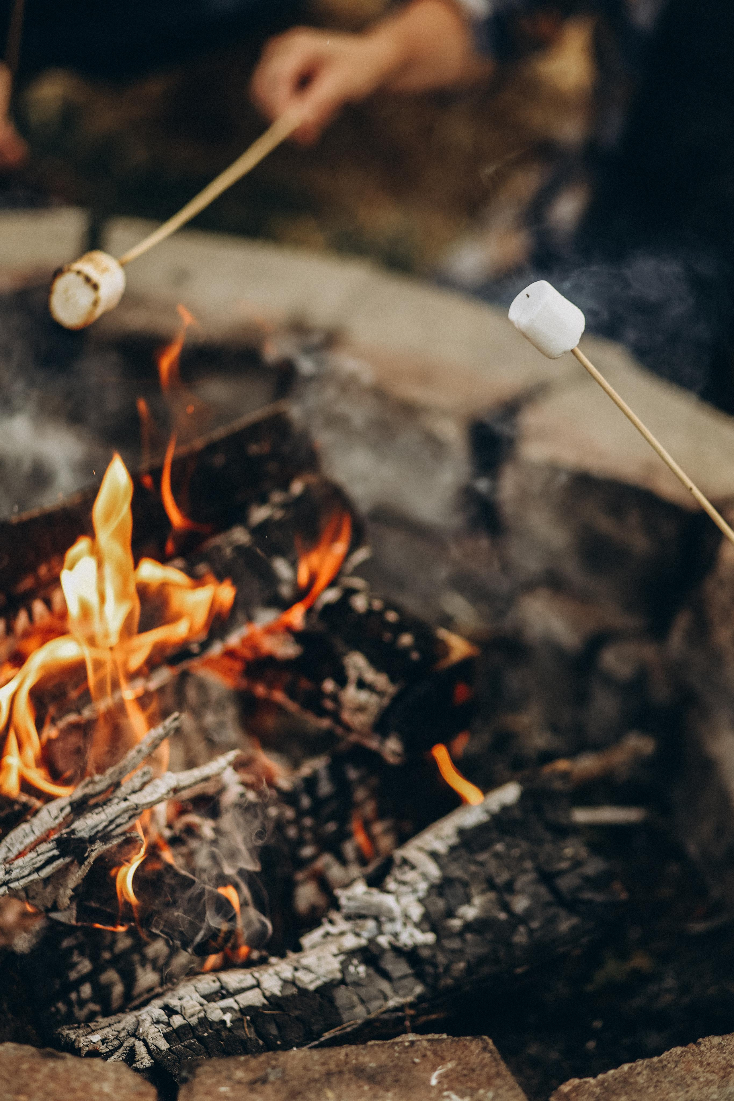 Sullivan family. Wedding Photographer Toronto