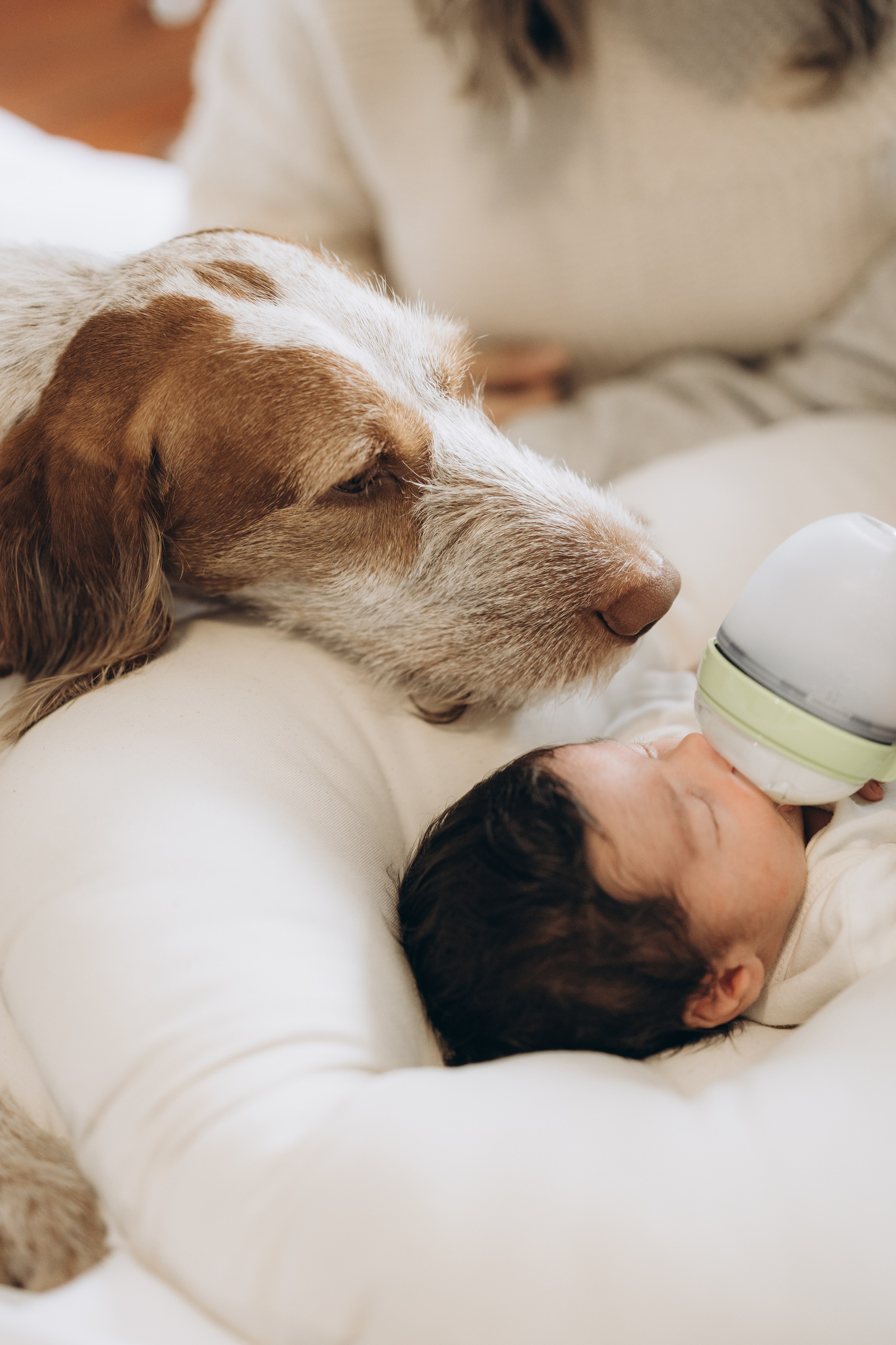 Baby Luca. Wedding Photographer Toronto