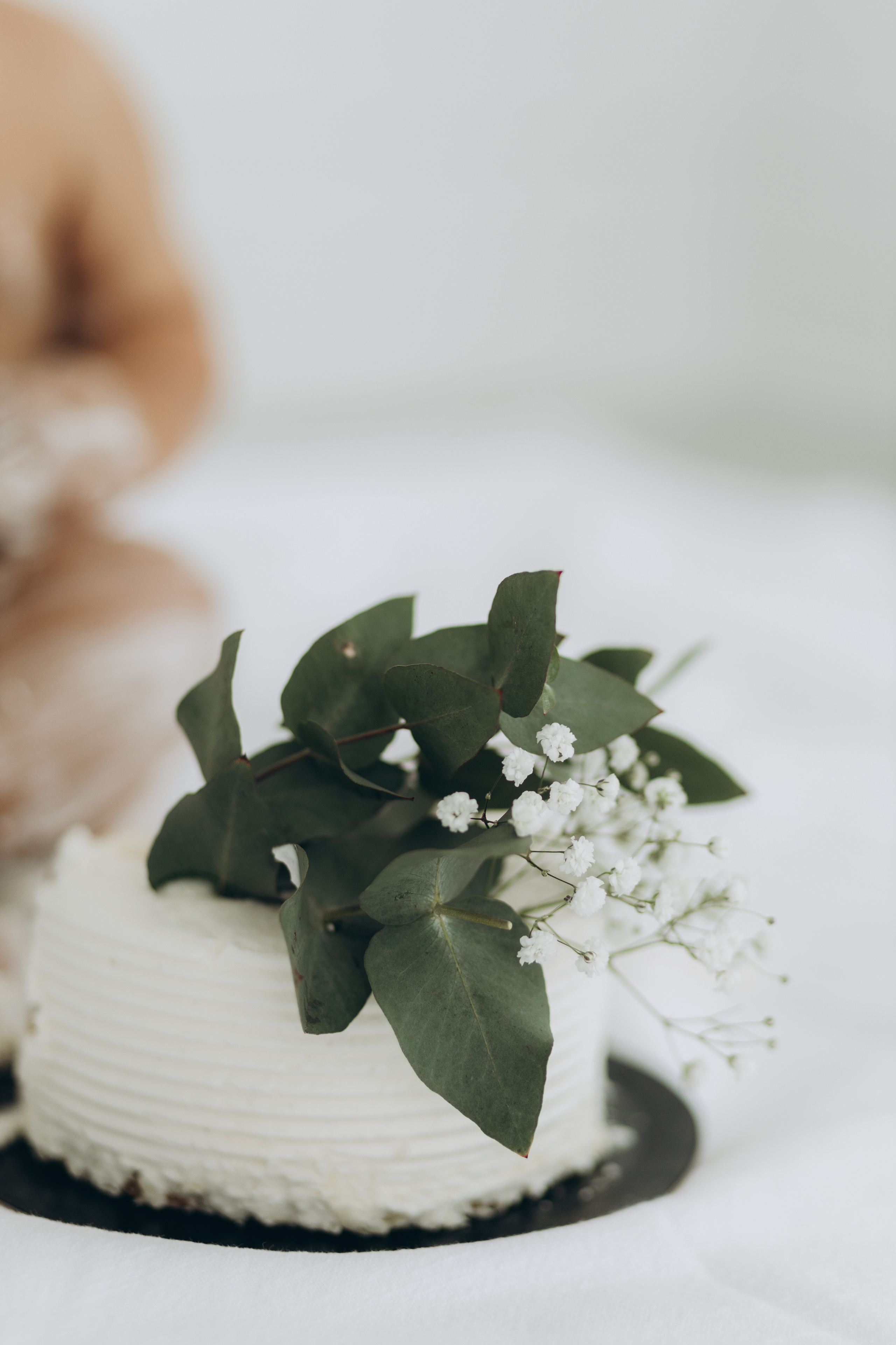 Cake smash. Wedding Photographer Toronto
