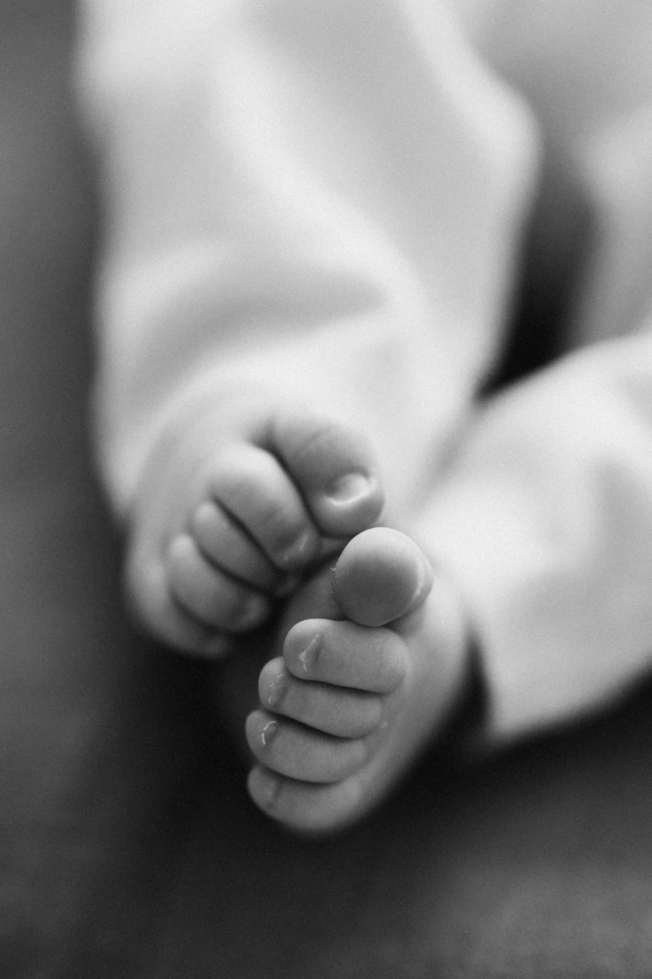 Baby Lucas. Wedding Photographer Toronto