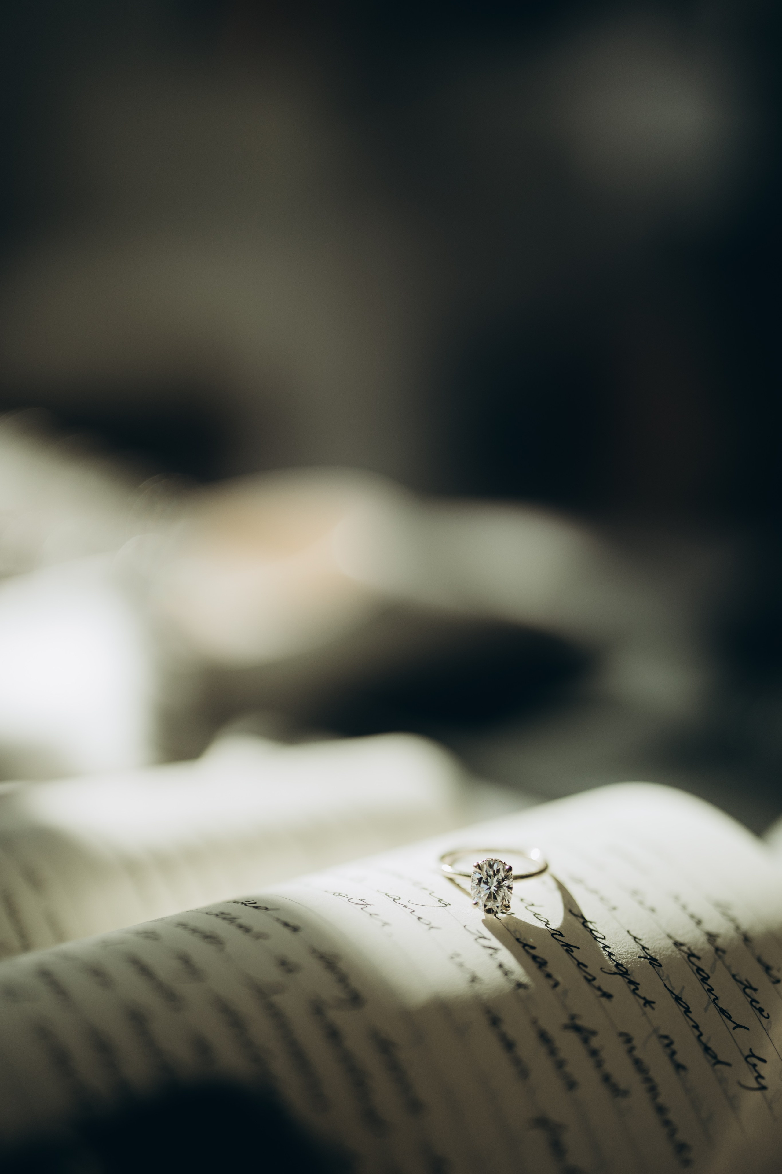 Andy&Michael. Wedding Photographer Toronto