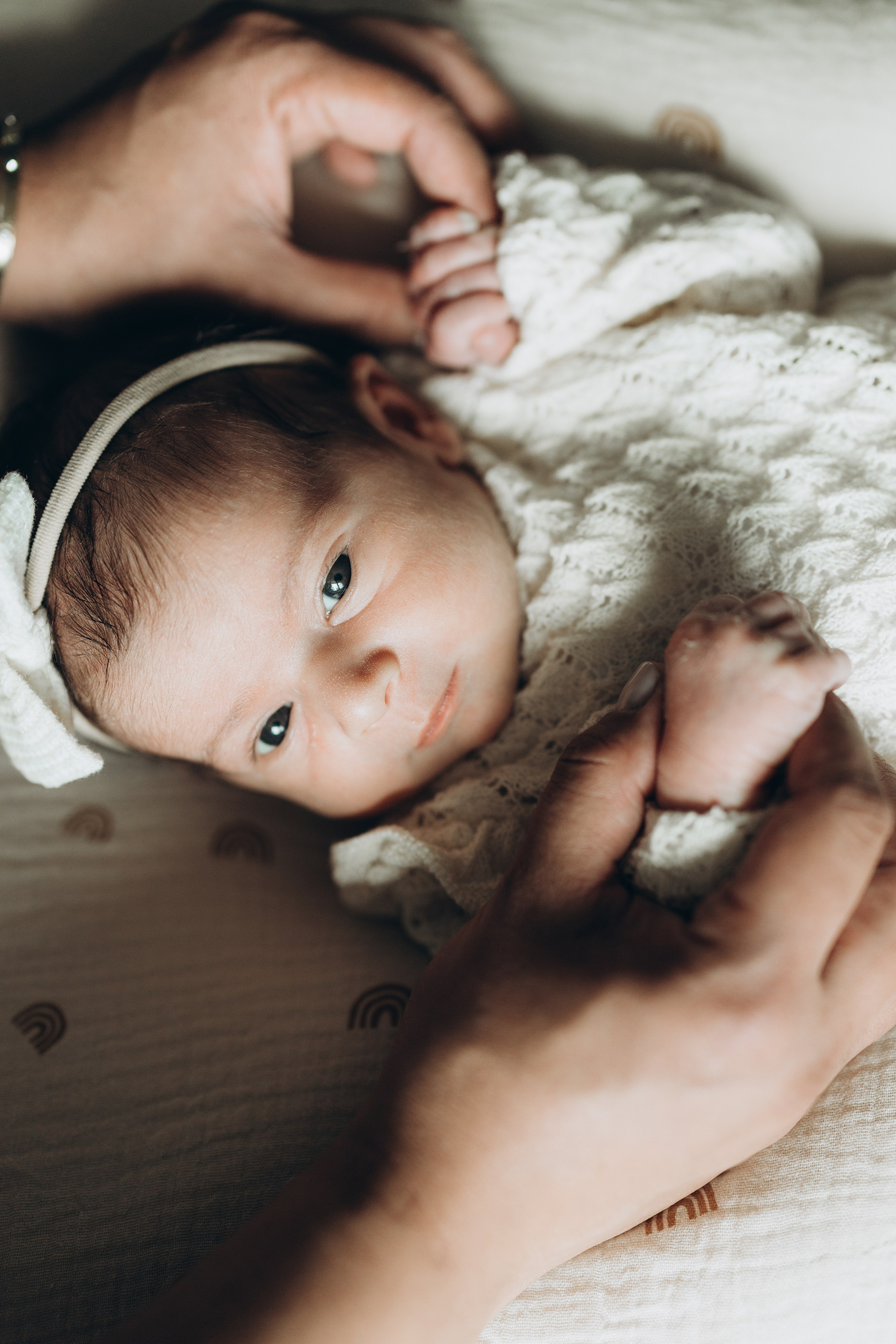 Newborn/family photo session. Wedding Photographer Toronto