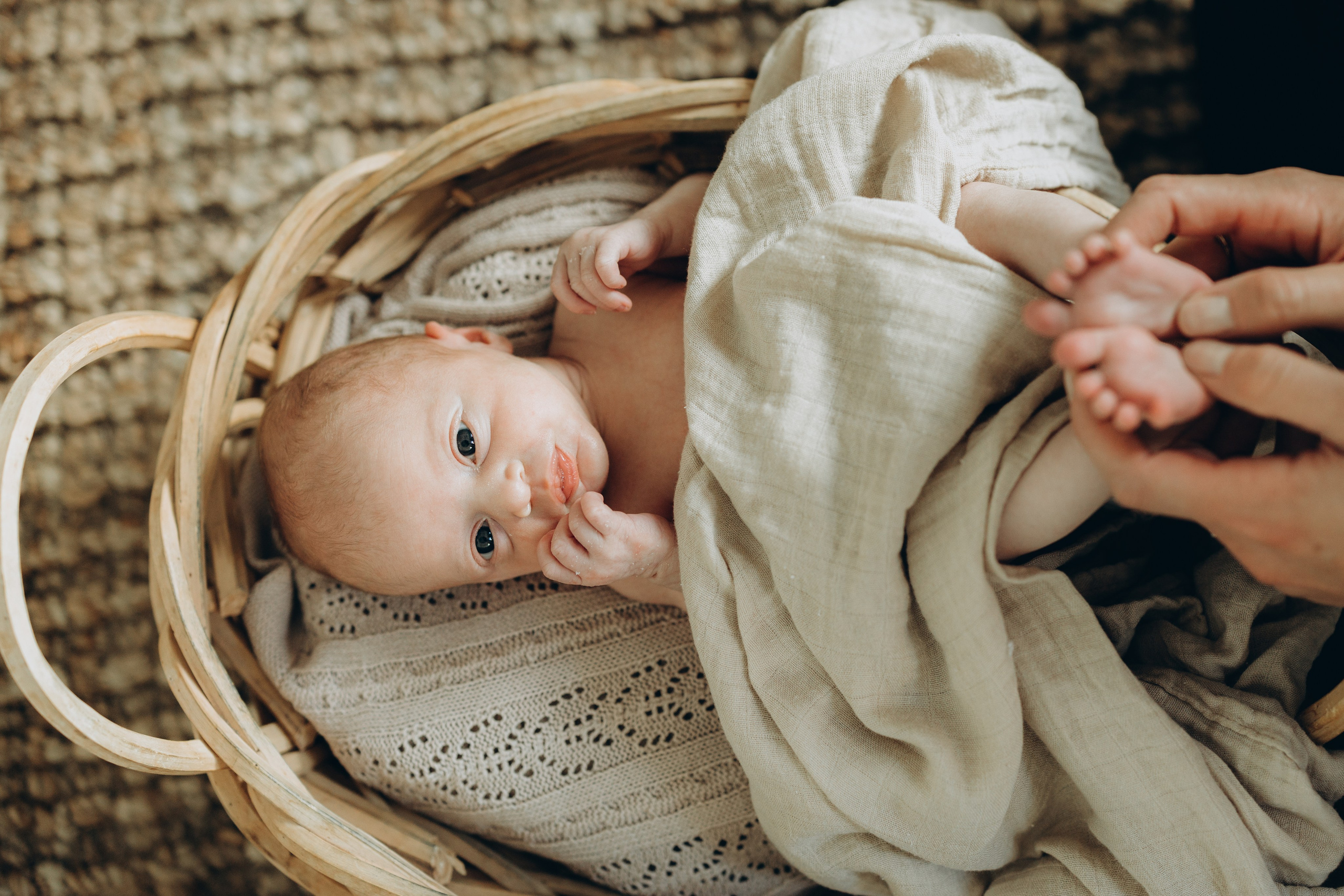 7 days old. Wedding Photographer Toronto