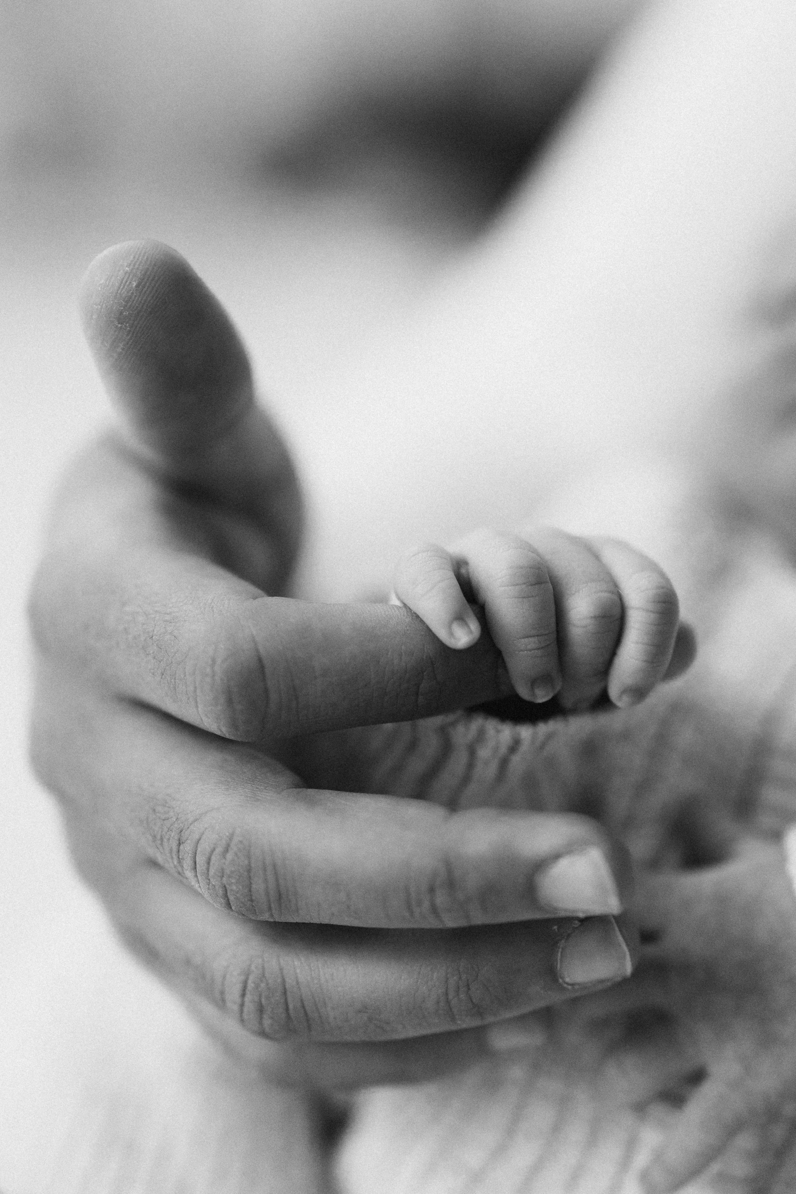 Noah. Wedding Photographer Toronto