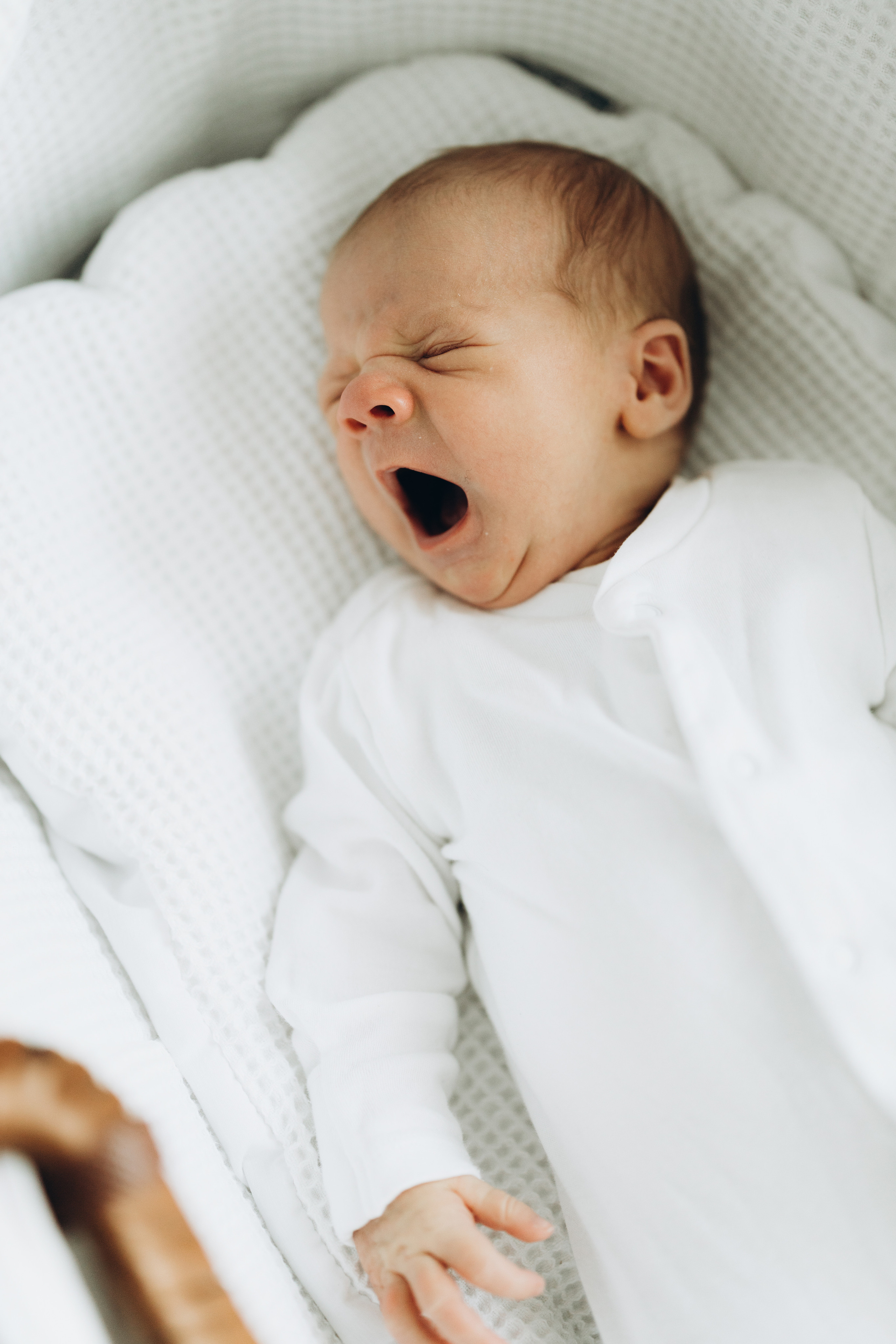 Family of 6 :). Wedding Photographer Toronto