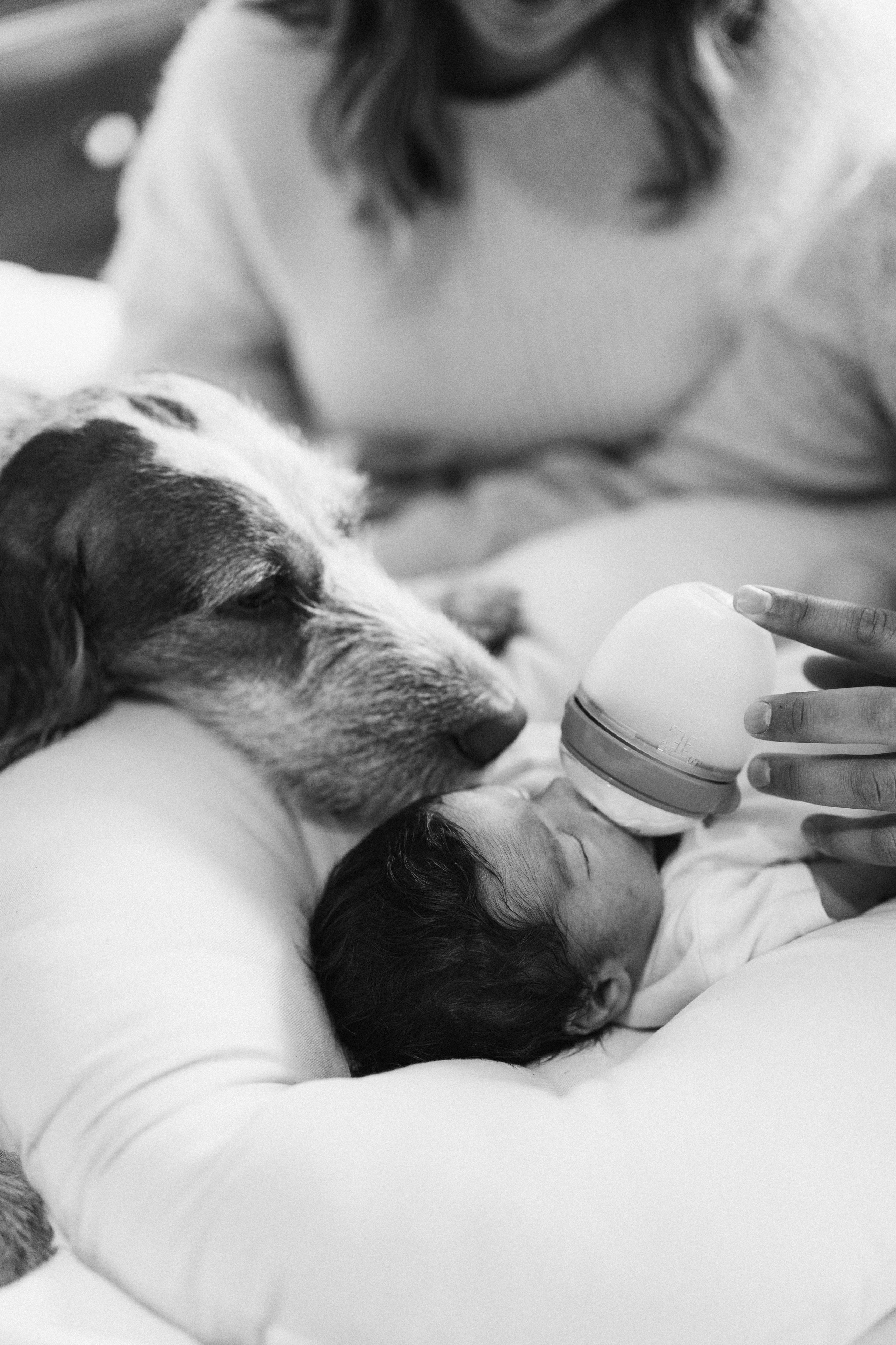 Baby Luca. Wedding Photographer Toronto