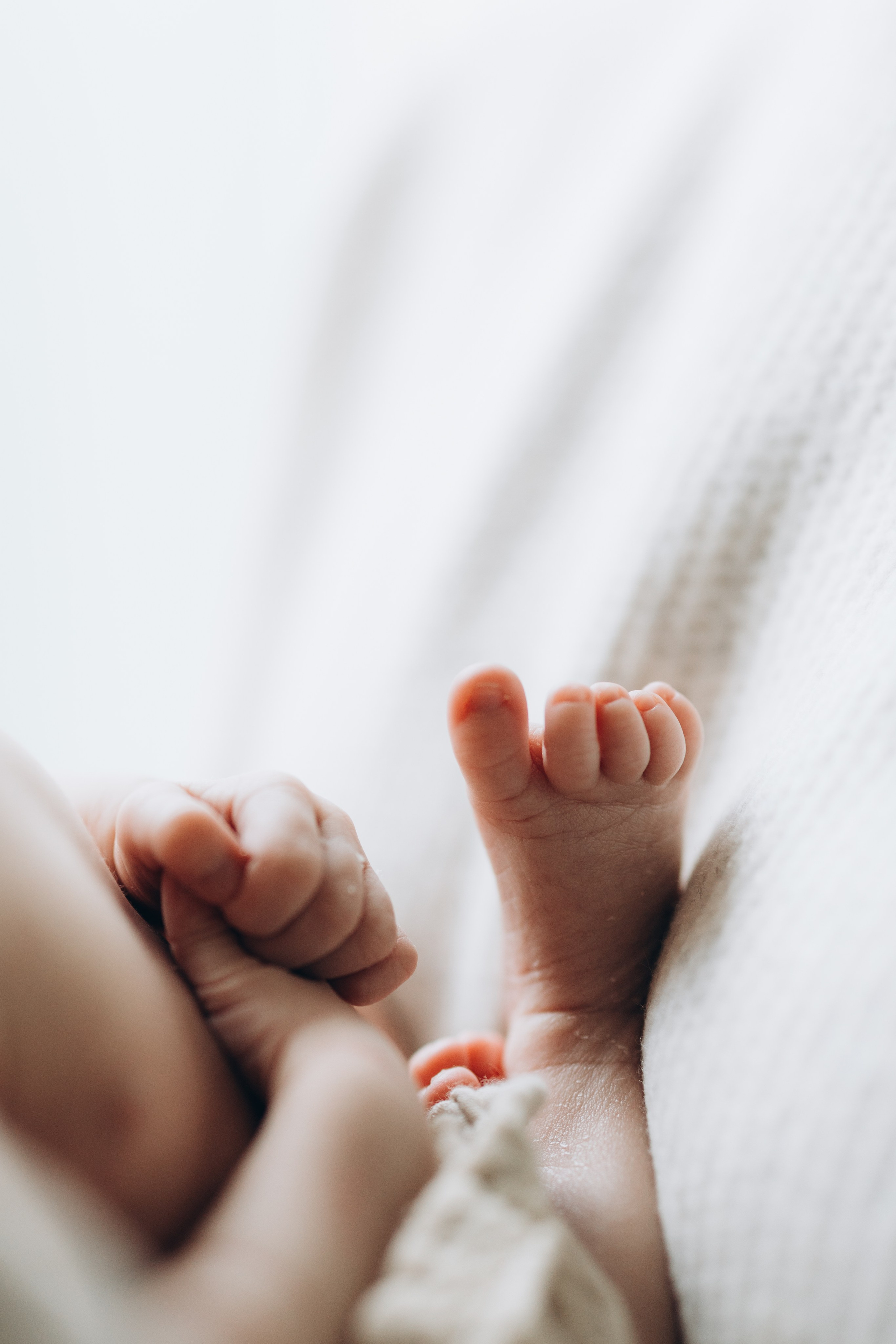 7 days old. Wedding Photographer Toronto
