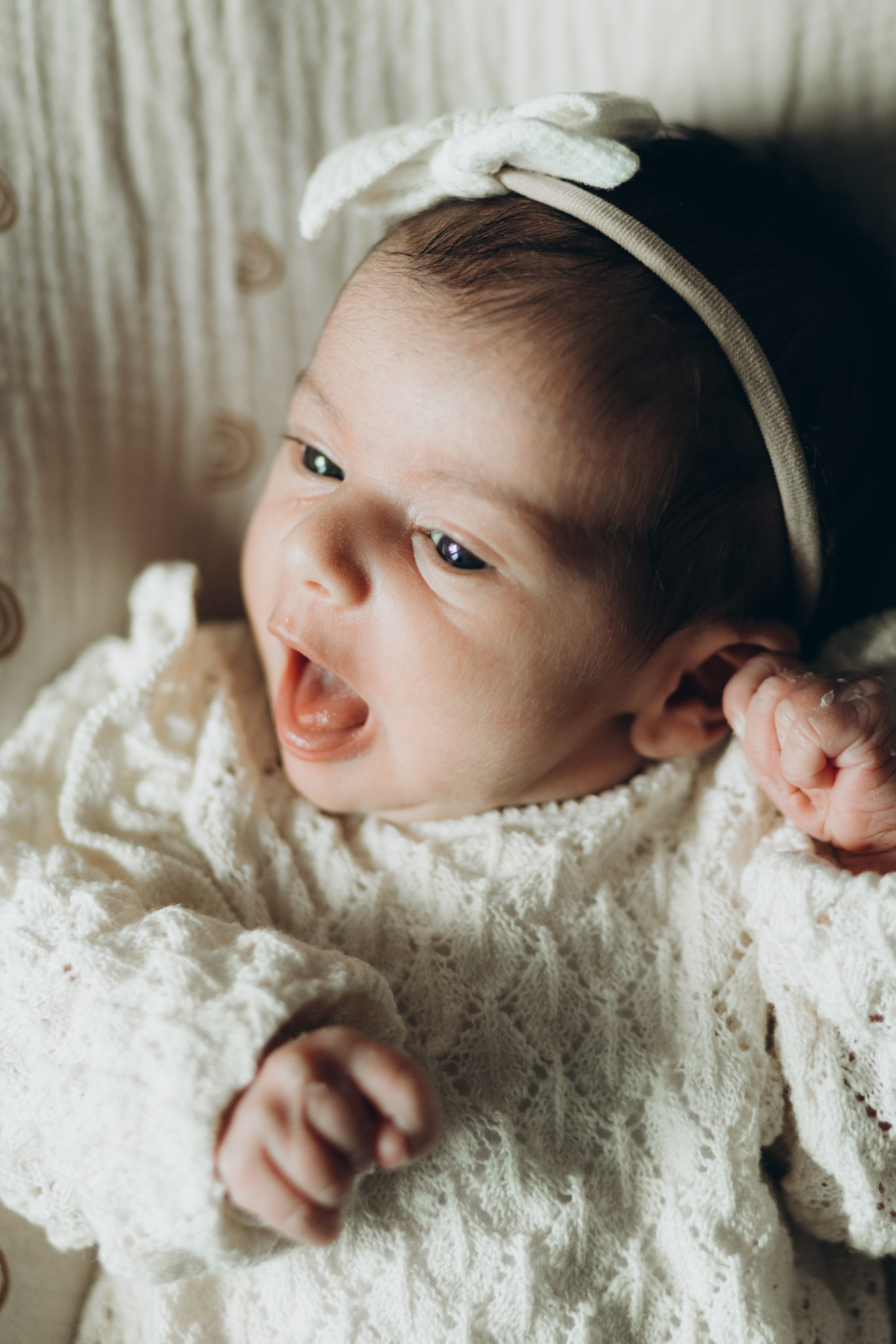 Newborn/family photo session. Wedding Photographer Toronto