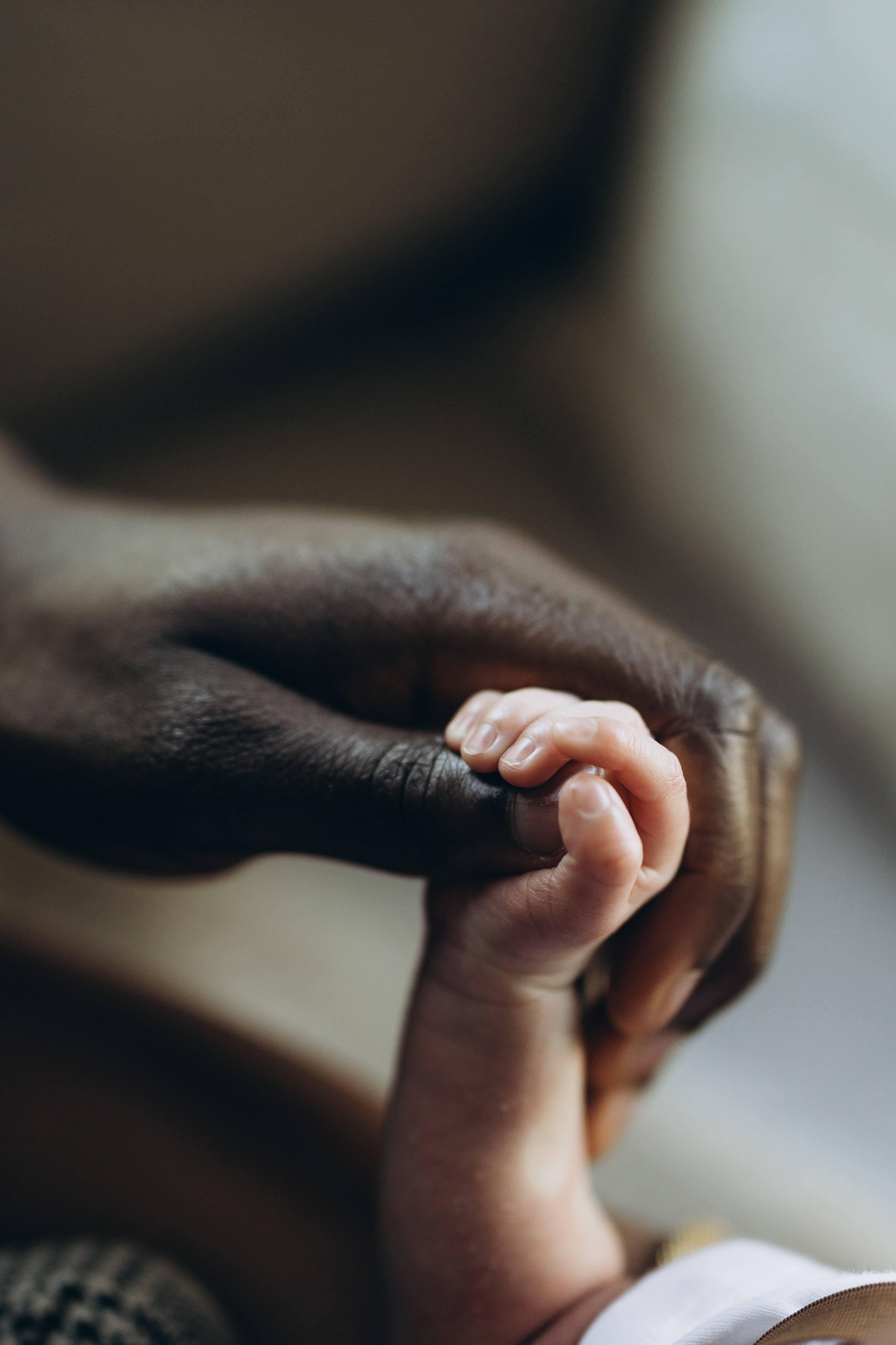 Baby N. Wedding Photographer Toronto