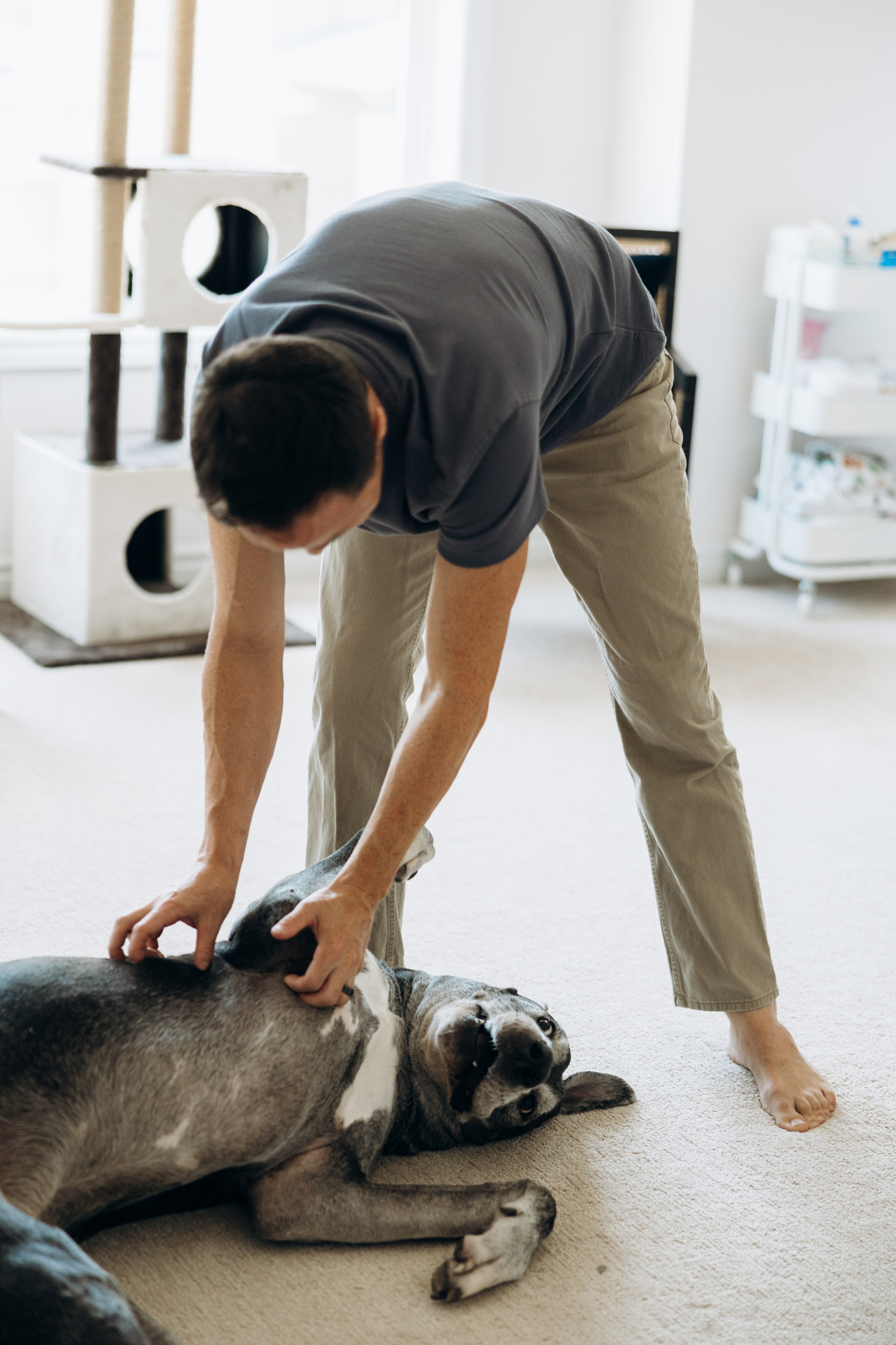 Baby Myles. Wedding Photographer Toronto