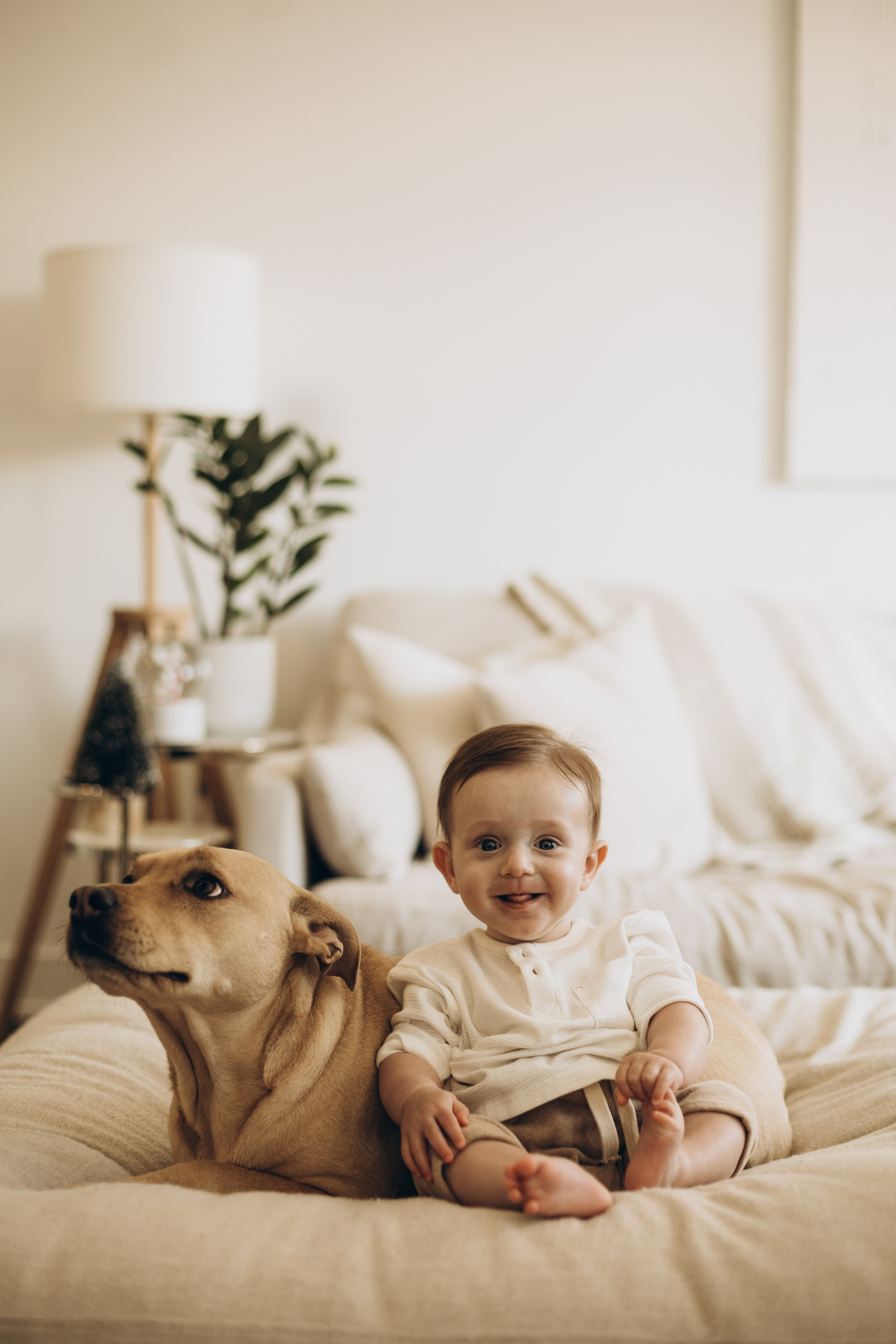 First Christmas. Wedding Photographer Toronto