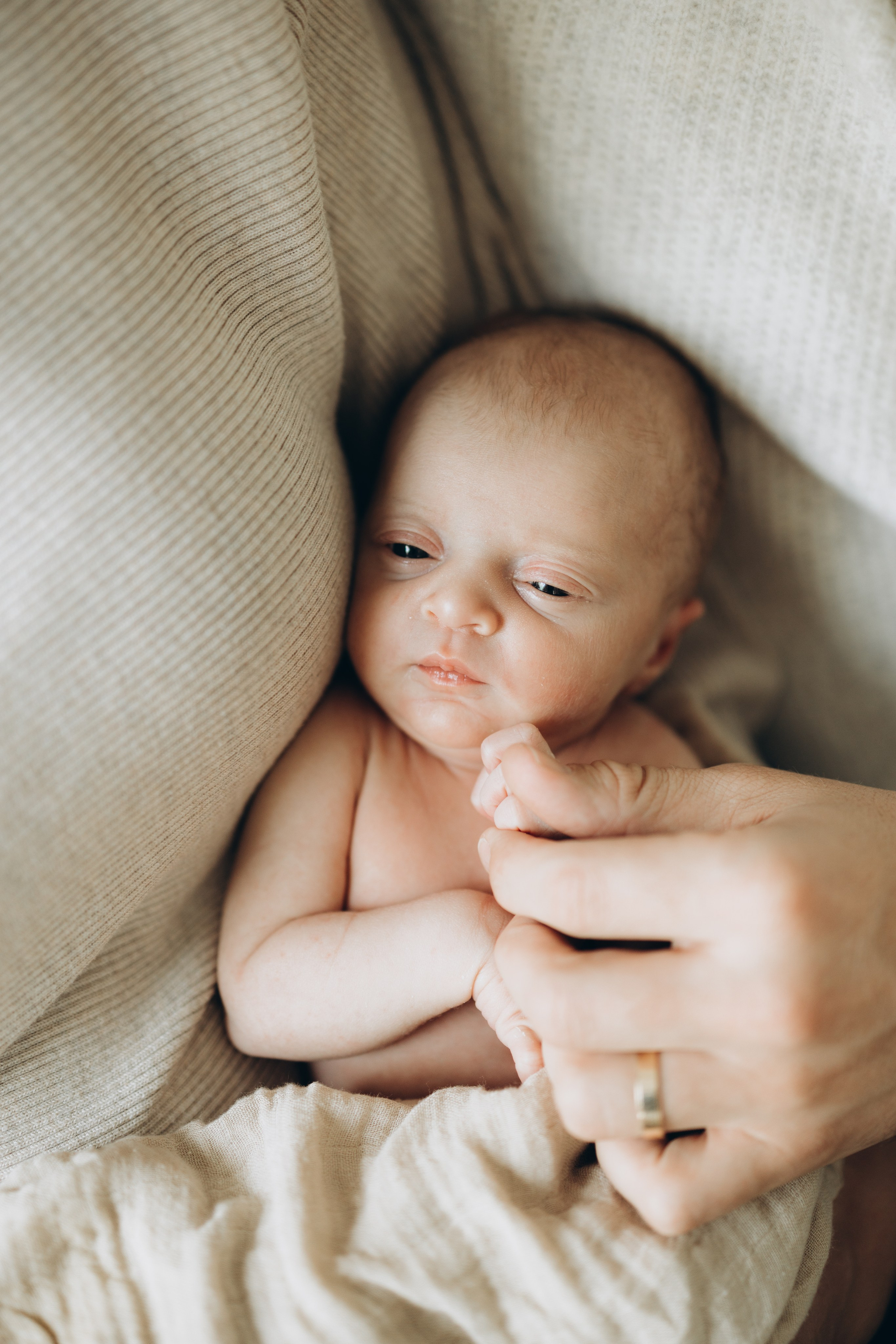 7 days old. Wedding Photographer Toronto
