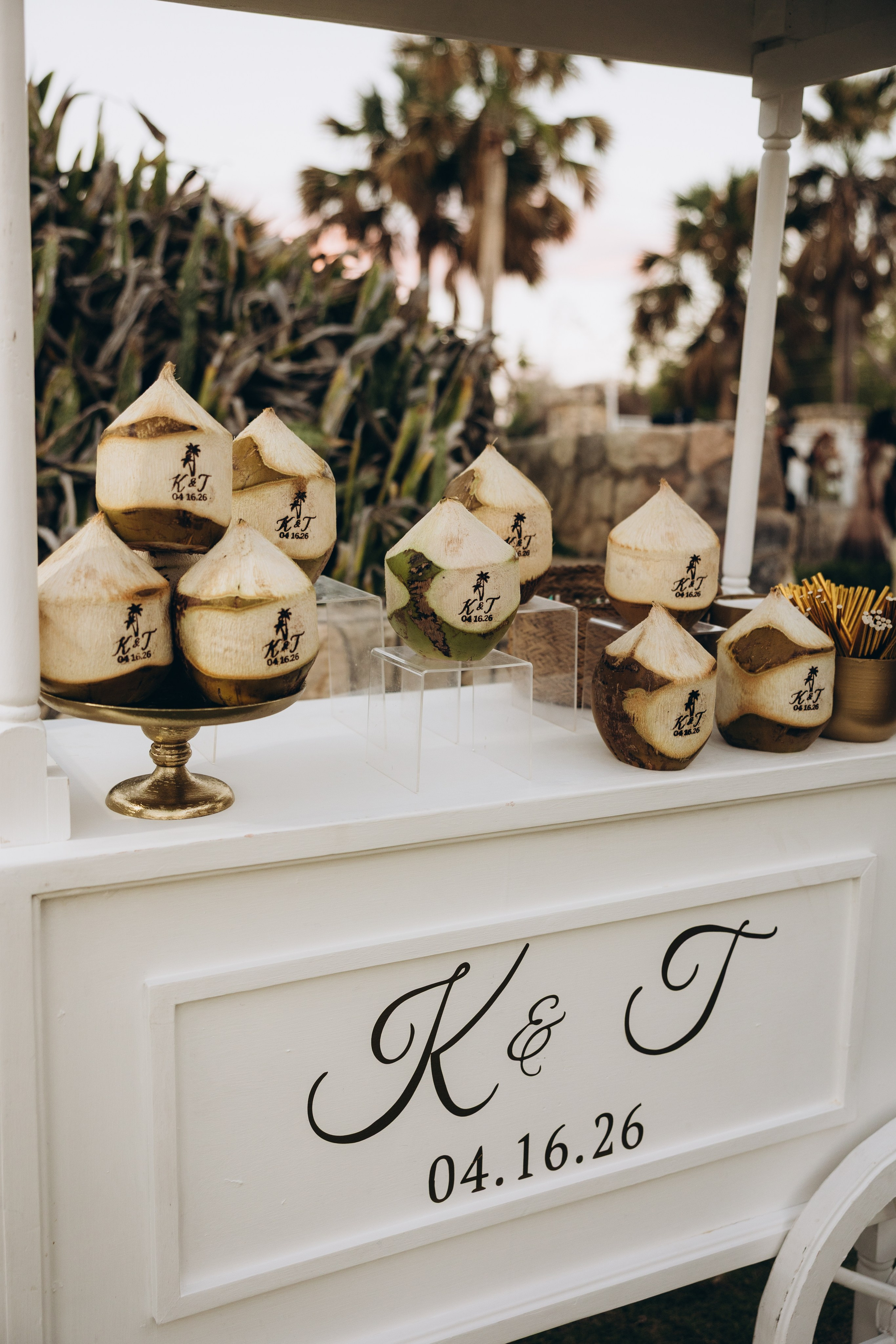 T&K (Jamaica). Wedding Photographer Toronto