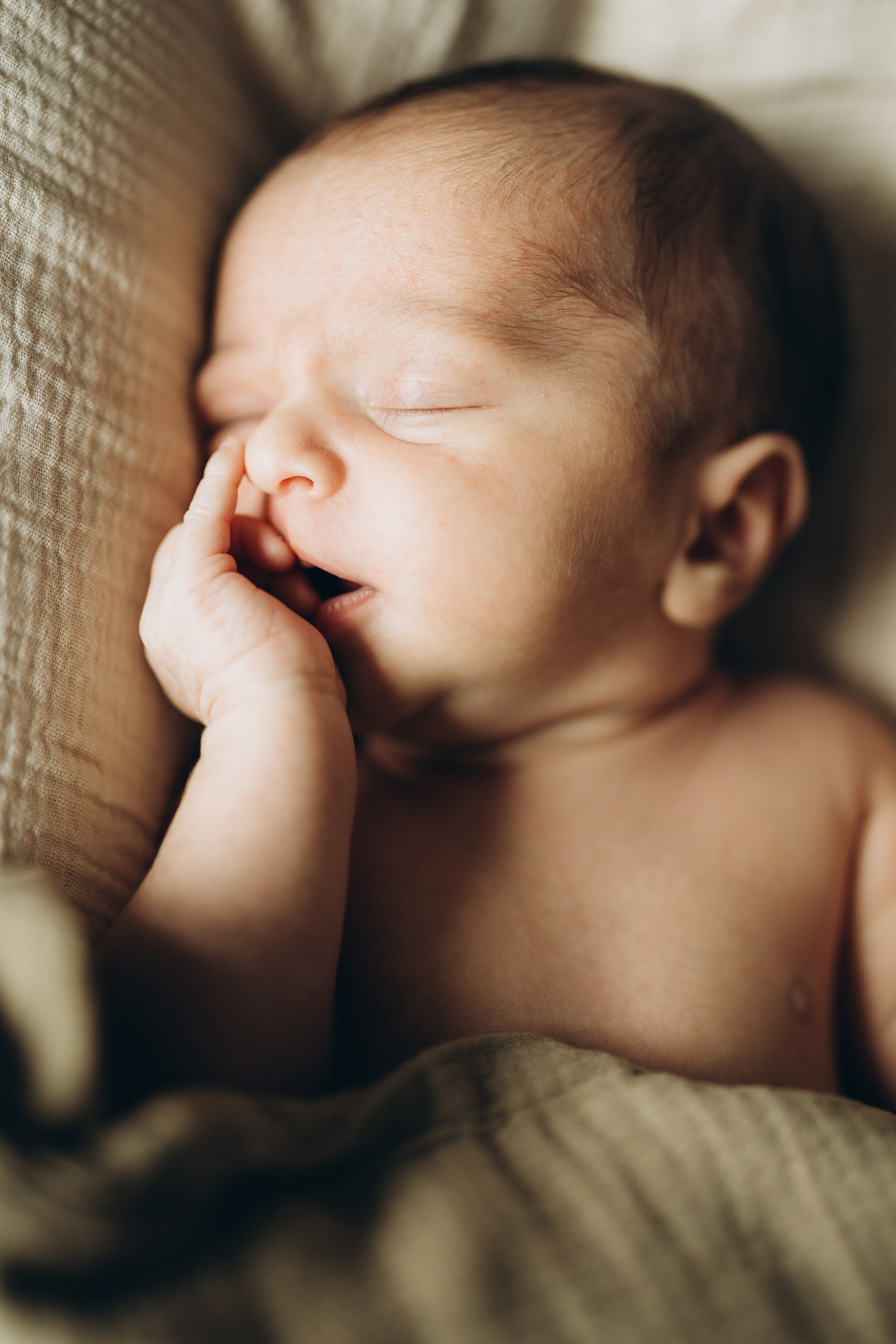 Family photo session. Wedding Photographer Toronto