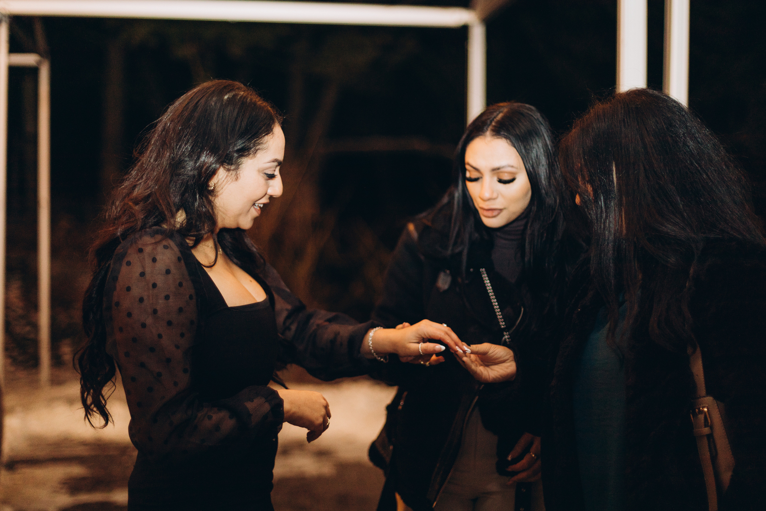 She said Yes!. Wedding Photographer Toronto
