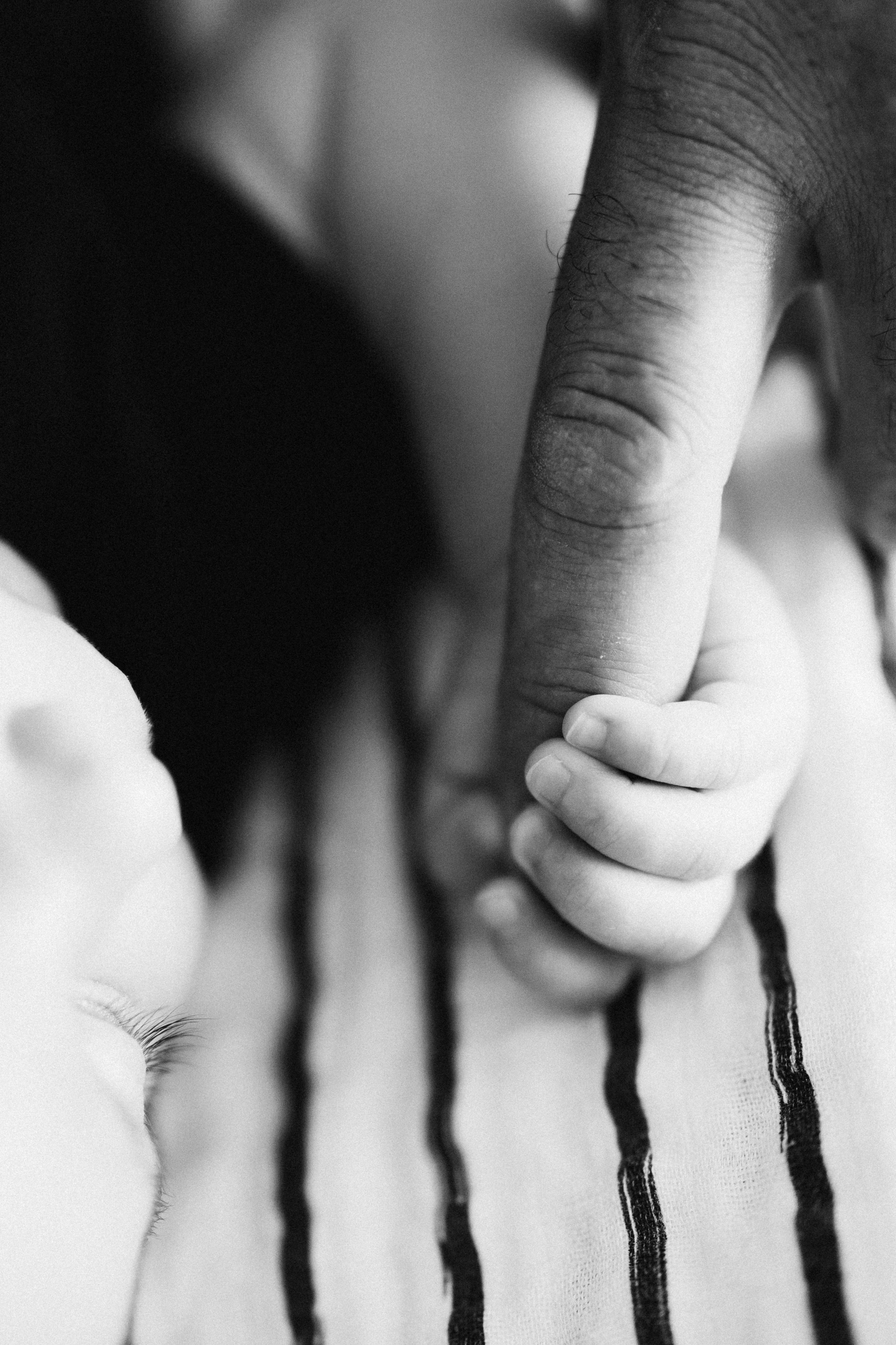 Sima family. Wedding Photographer Toronto