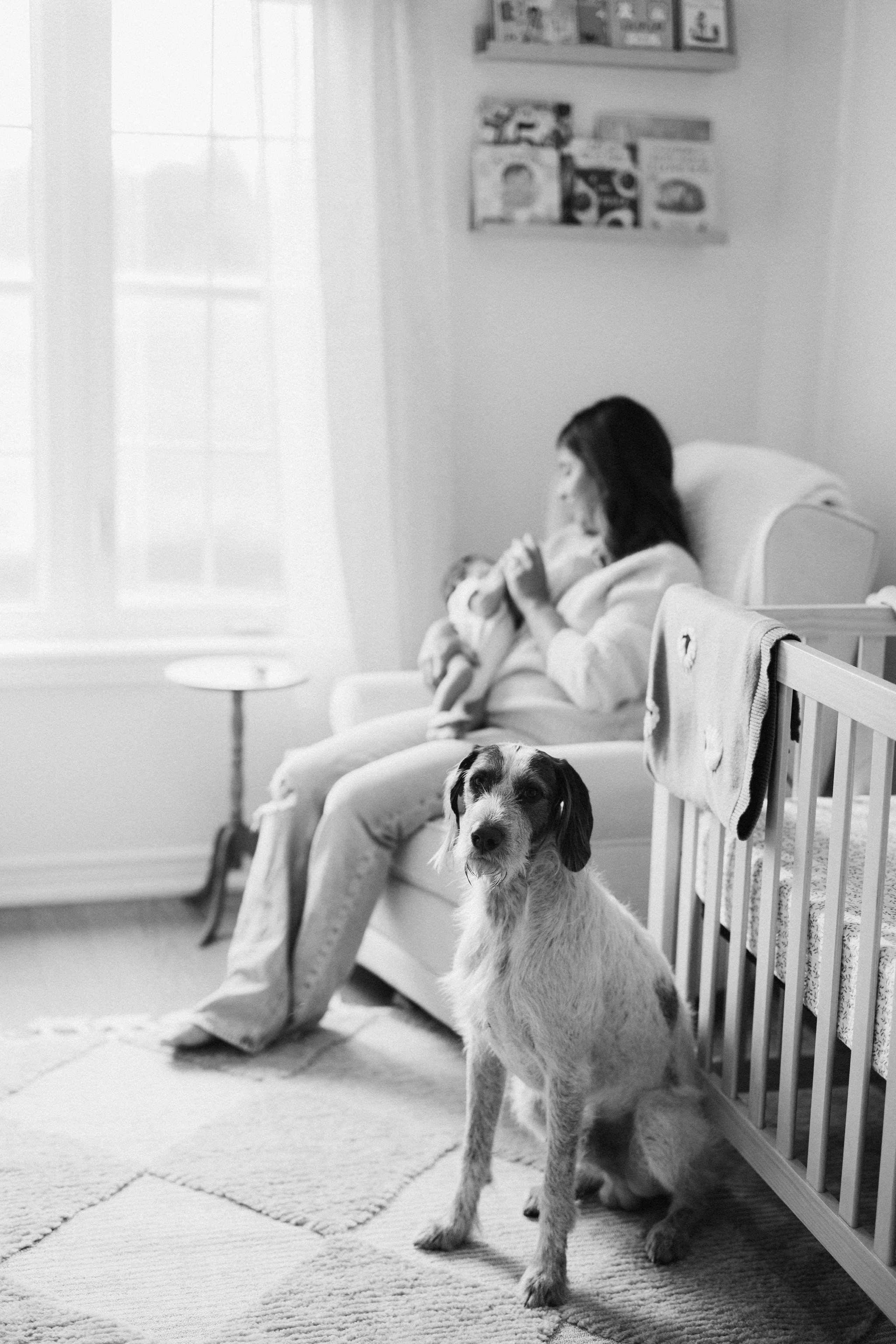Baby Luca. Wedding Photographer Toronto