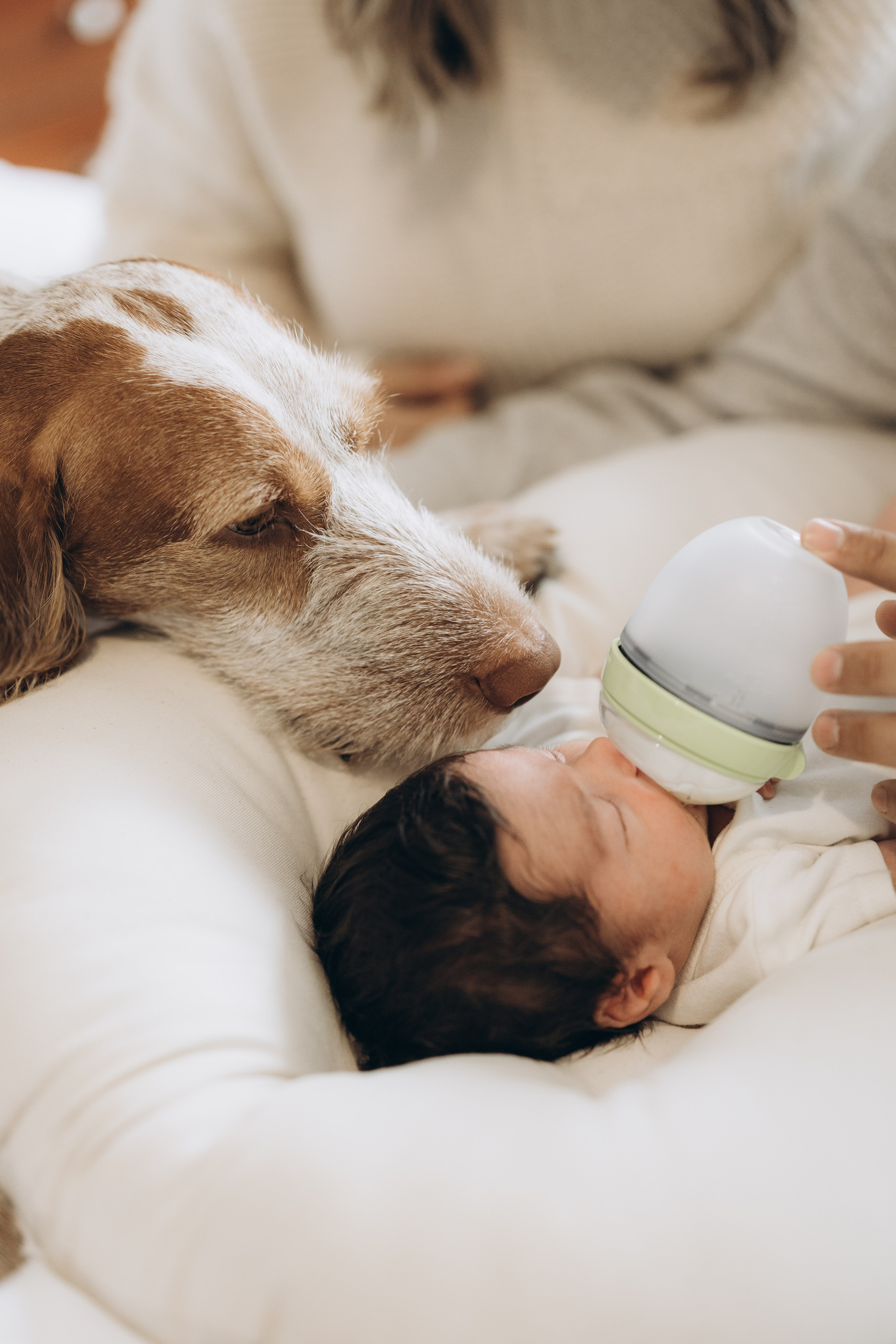 Baby Luca. Wedding Photographer Toronto