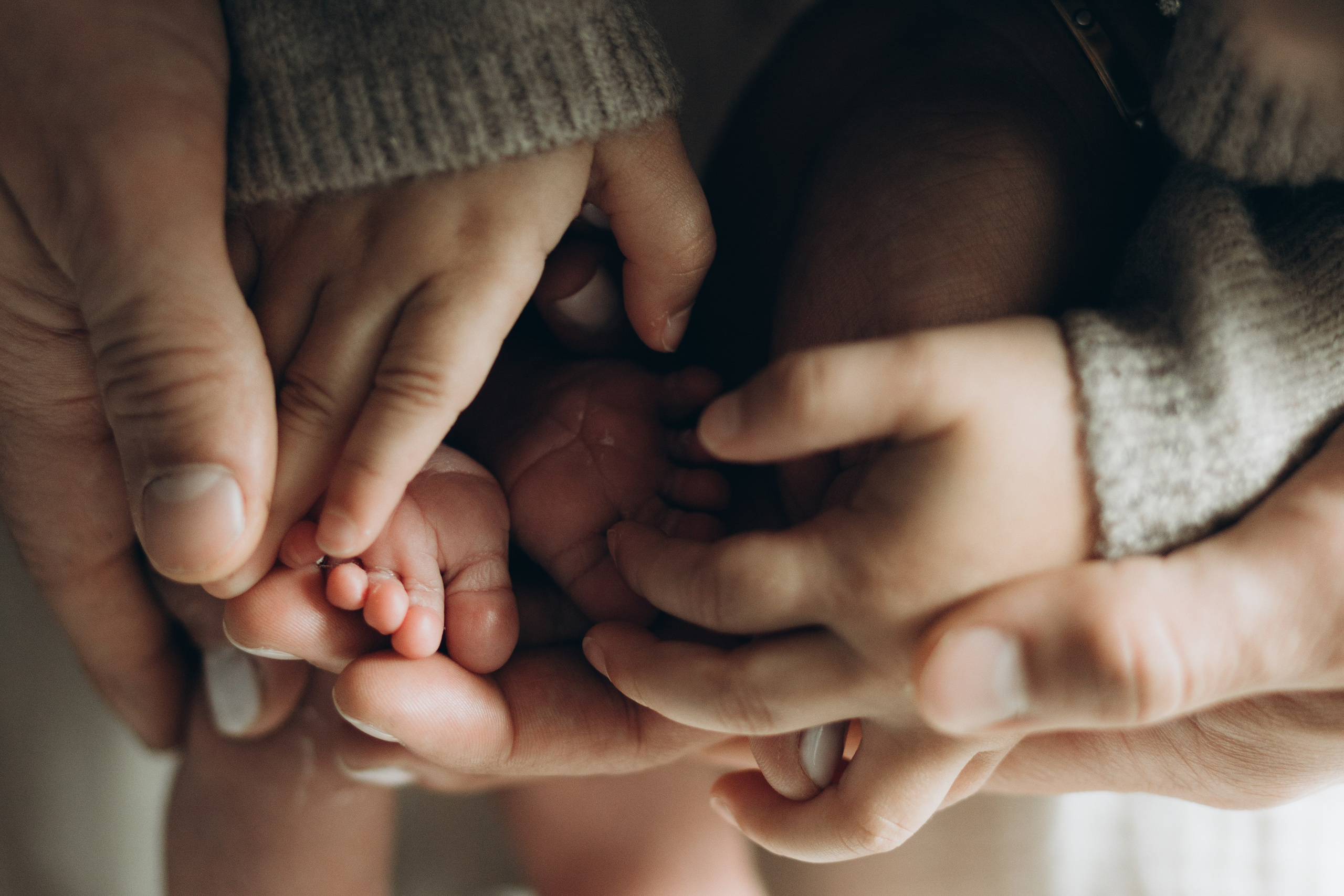 Newborn/family photo session. Wedding Photographer Toronto